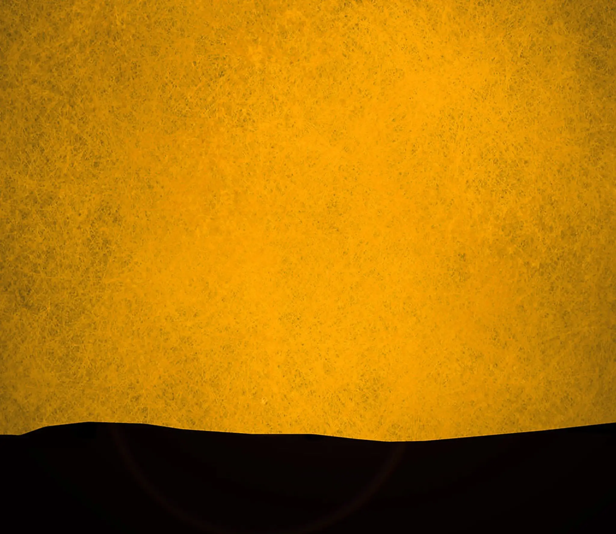 Silent Tiger Martial Arts