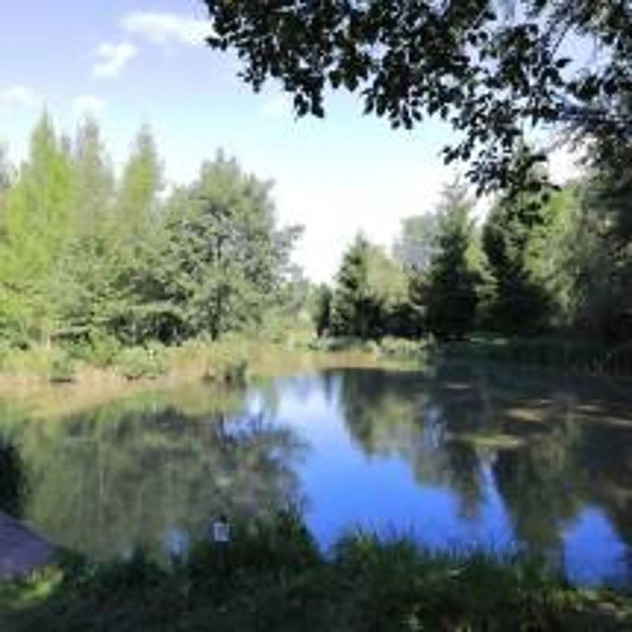 The Oaks Lakes Fishing Complex