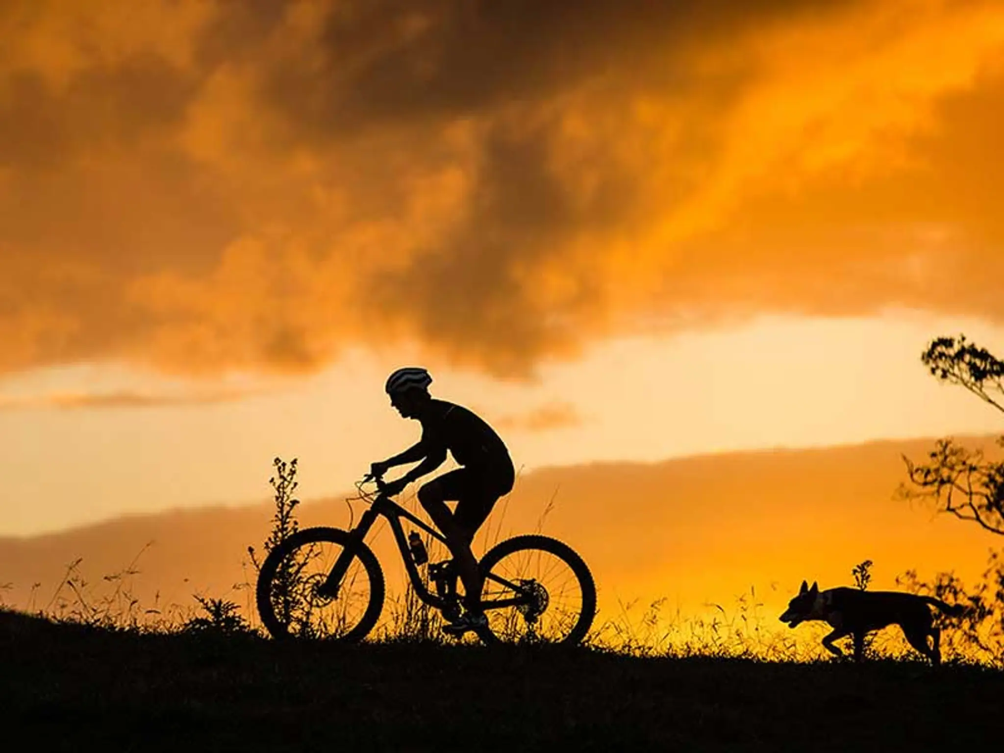 Giant Bicycles Echuca - Echuca On Your Bike