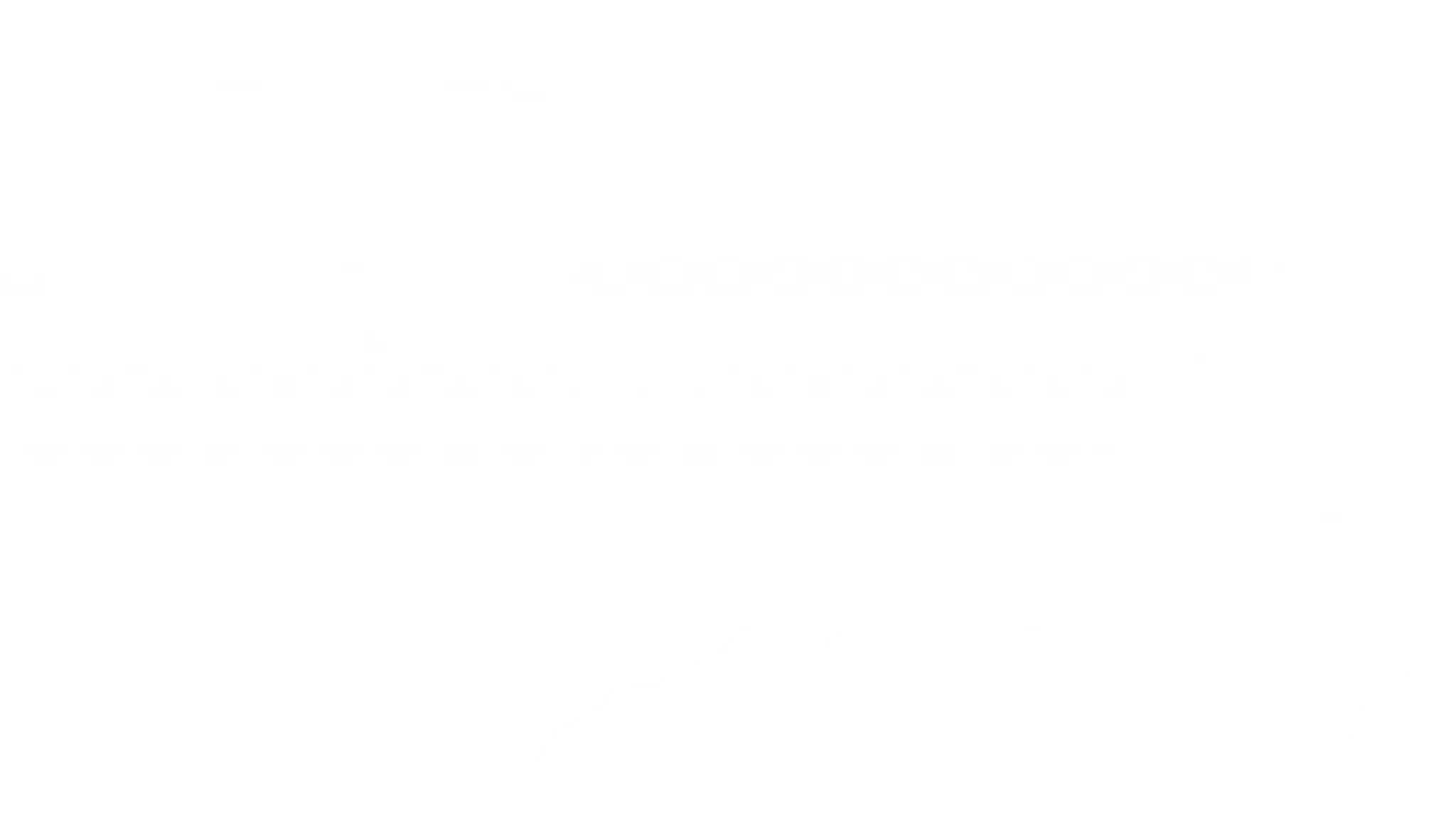 Vision Basketball Academy