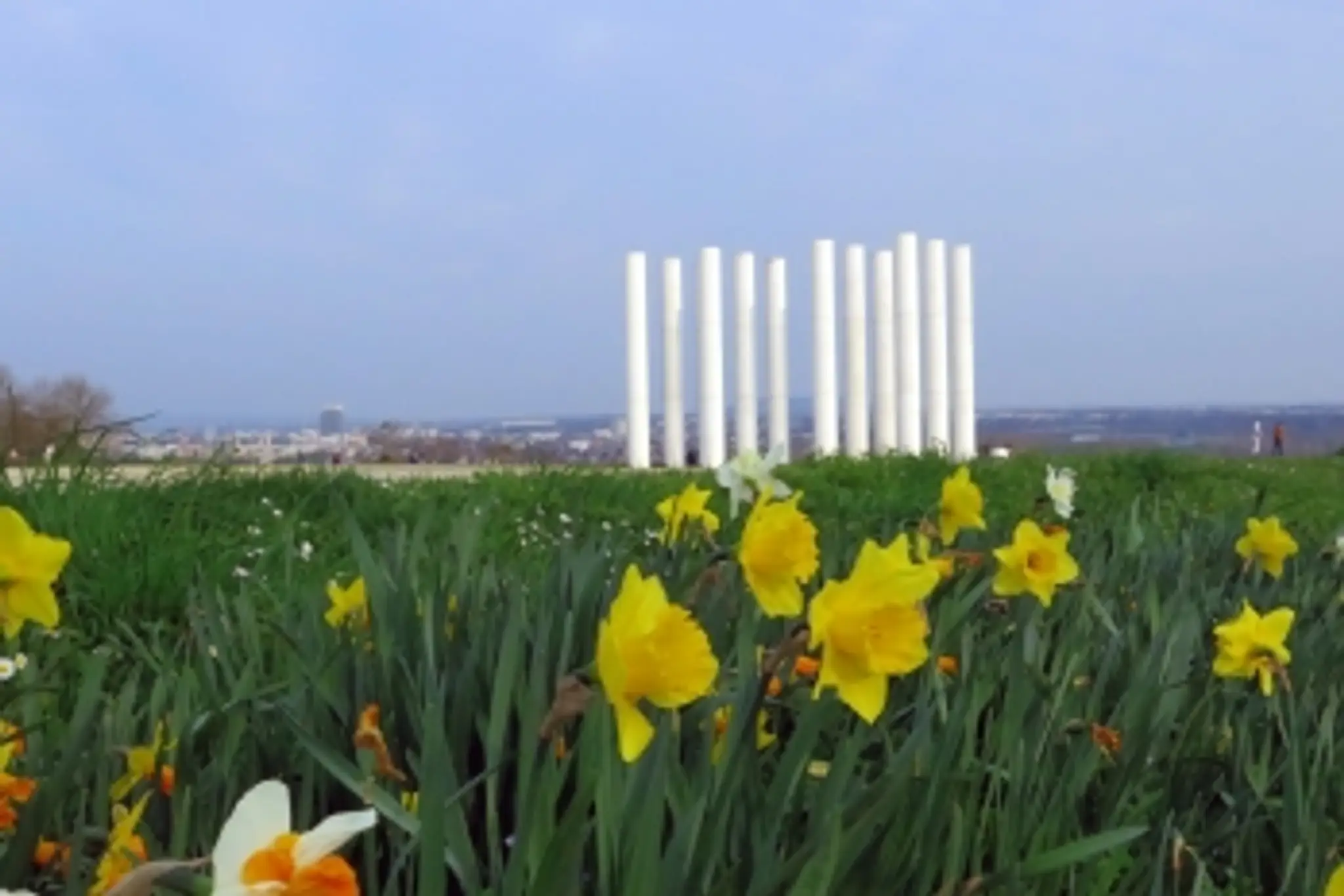 Piscine de l'Axe Majeur