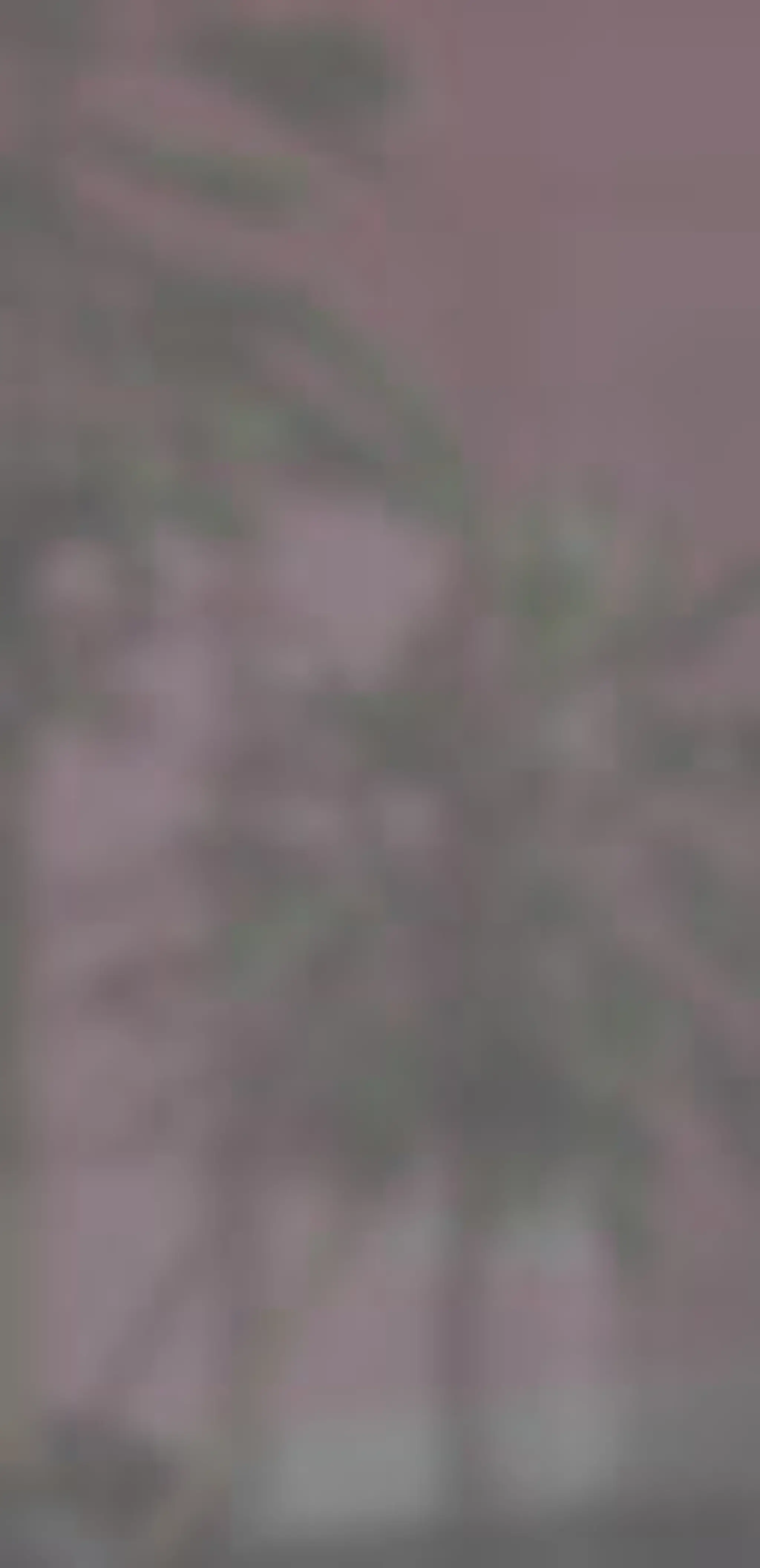 JNY Personal Training