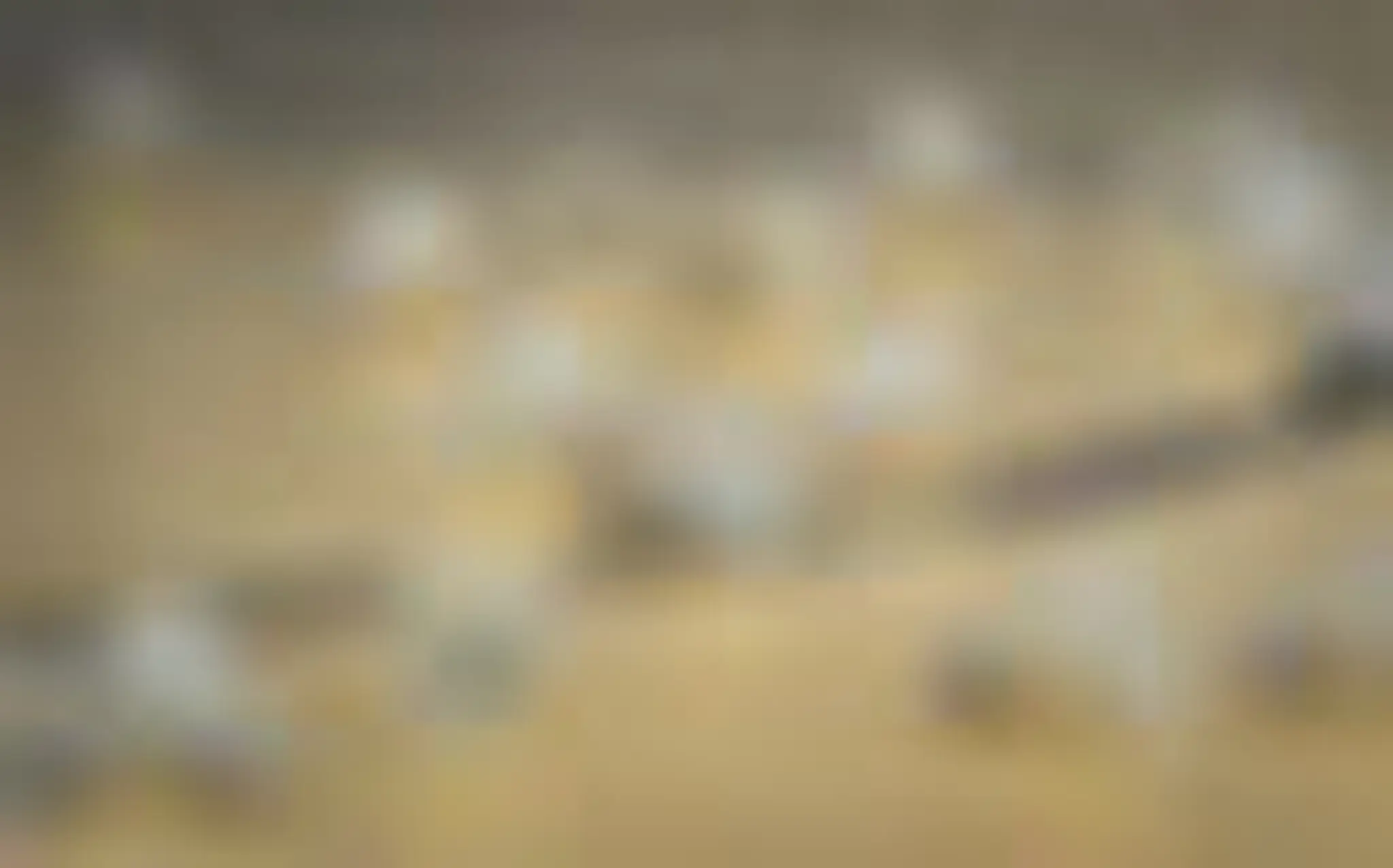 Bath Women's Badminton Club