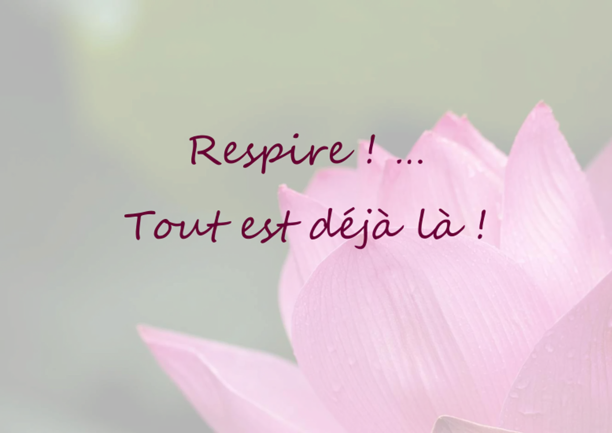 Carine Leboeuf - Cabinet Psychothérapie Sophrologie - Pornic et Nantes