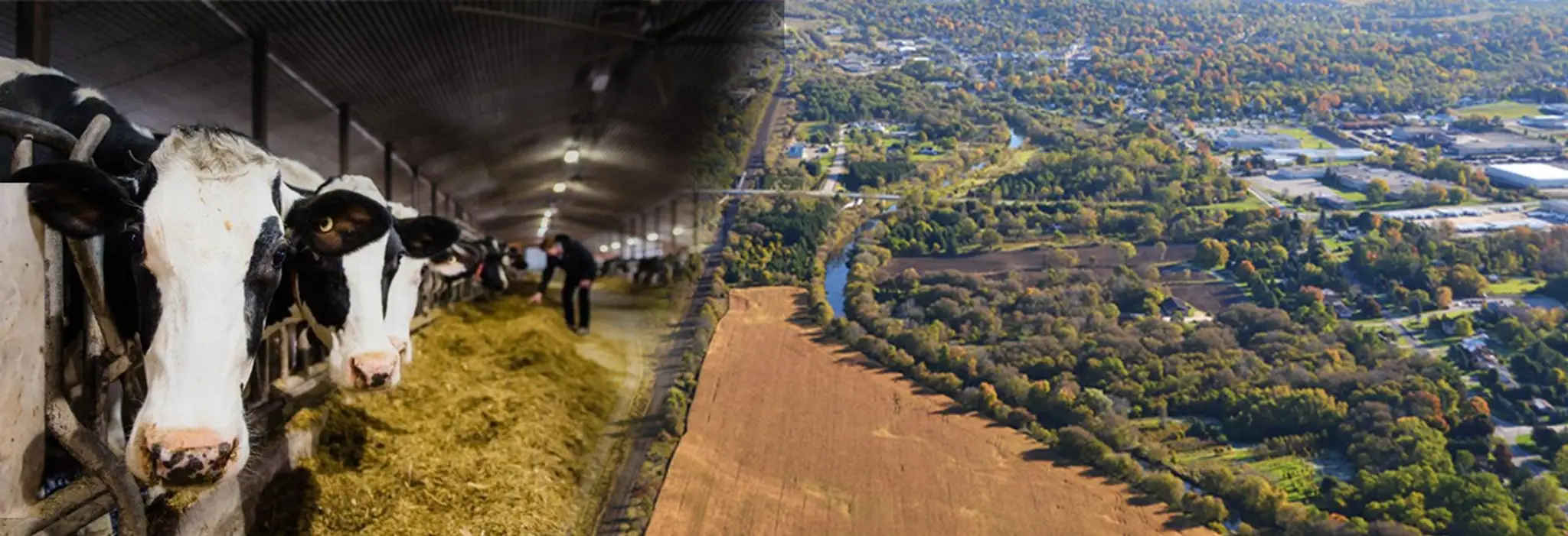 Norwich Family Fitness