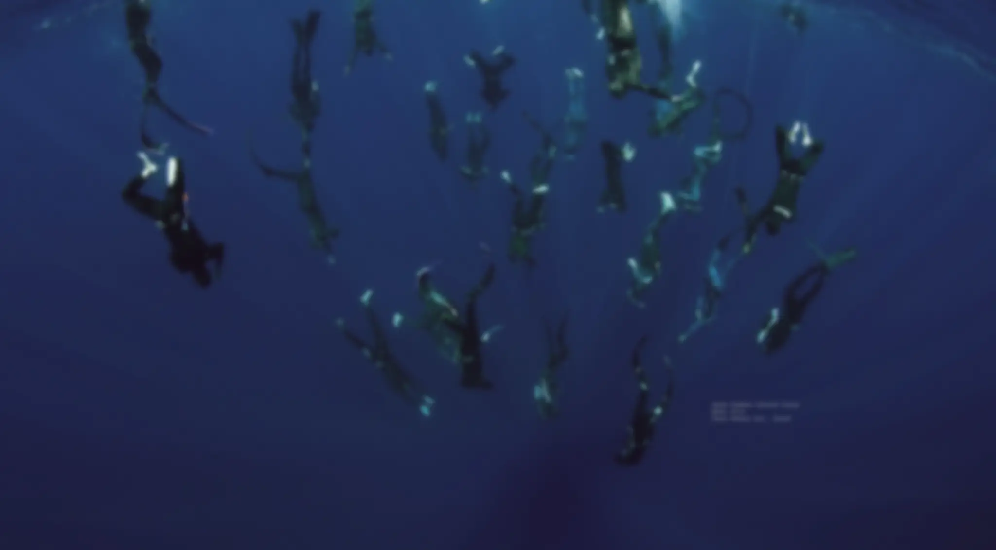 Apnea42 Freediving (Singapore)