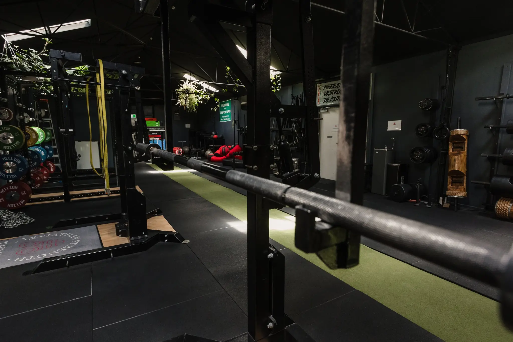 Leviathan Strength Gym