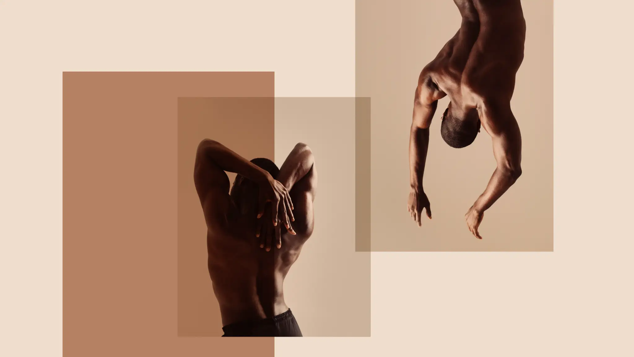 Jaybird Studio  Yorkville