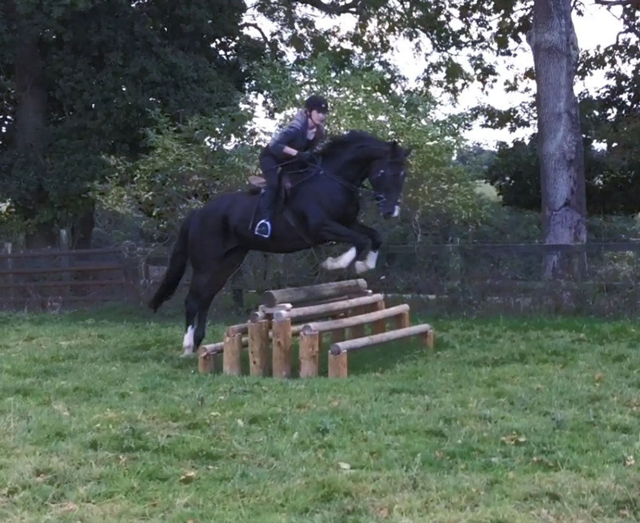 Forest Farm Riding School