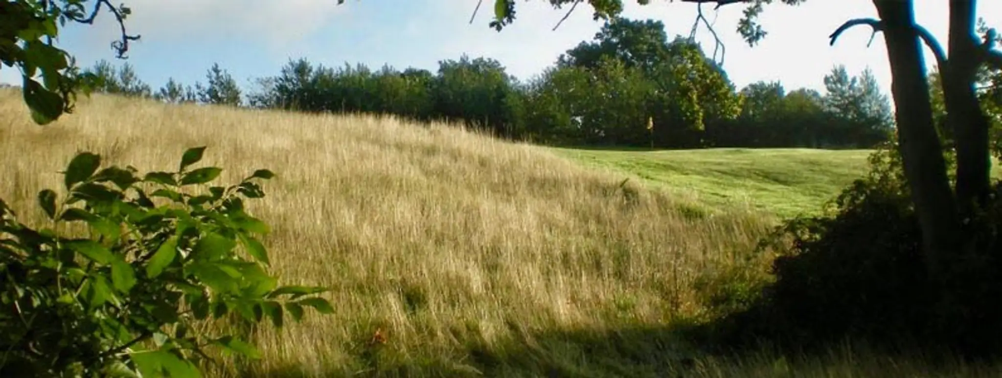 Golfbug - The Wast Hills Golf Centre