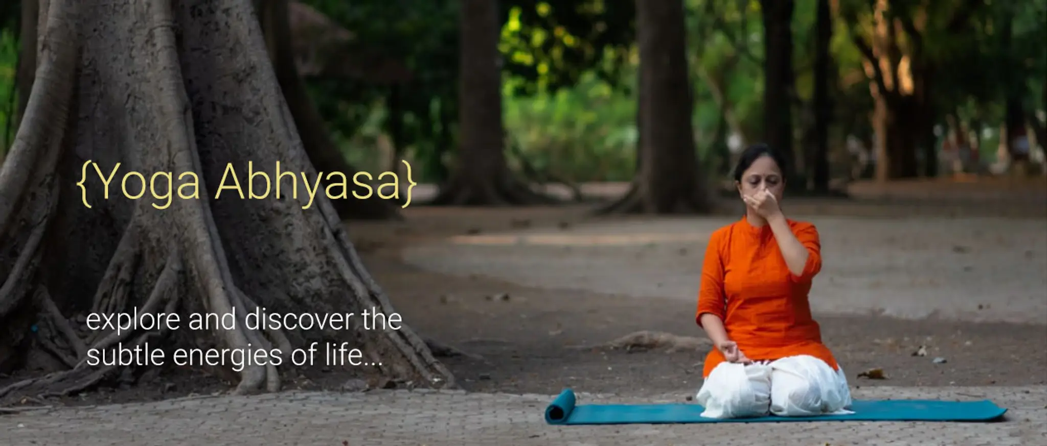 Neeramay Yoga Ayurveda Research Institute.