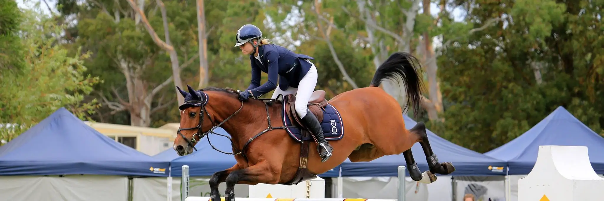 Barton Equine