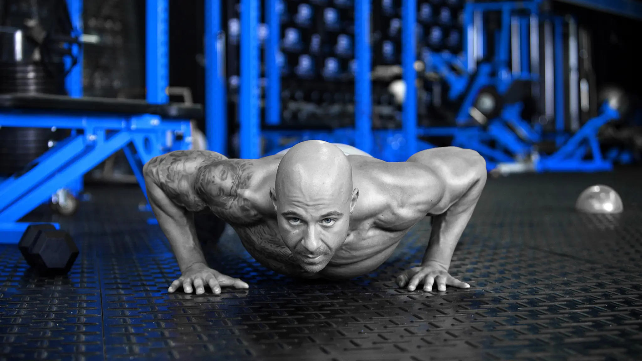 Body Revival Strength & Performance