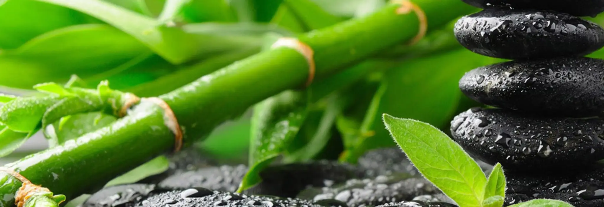 Centre de Tai-Chi de la Mauricie