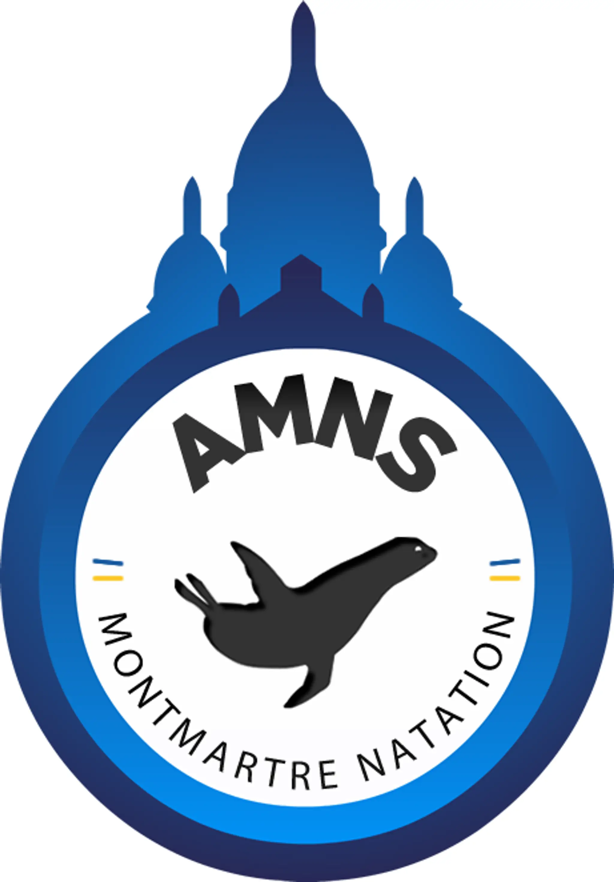 Ffss 75 Amns French Federation Life-Saving And De Secourisme