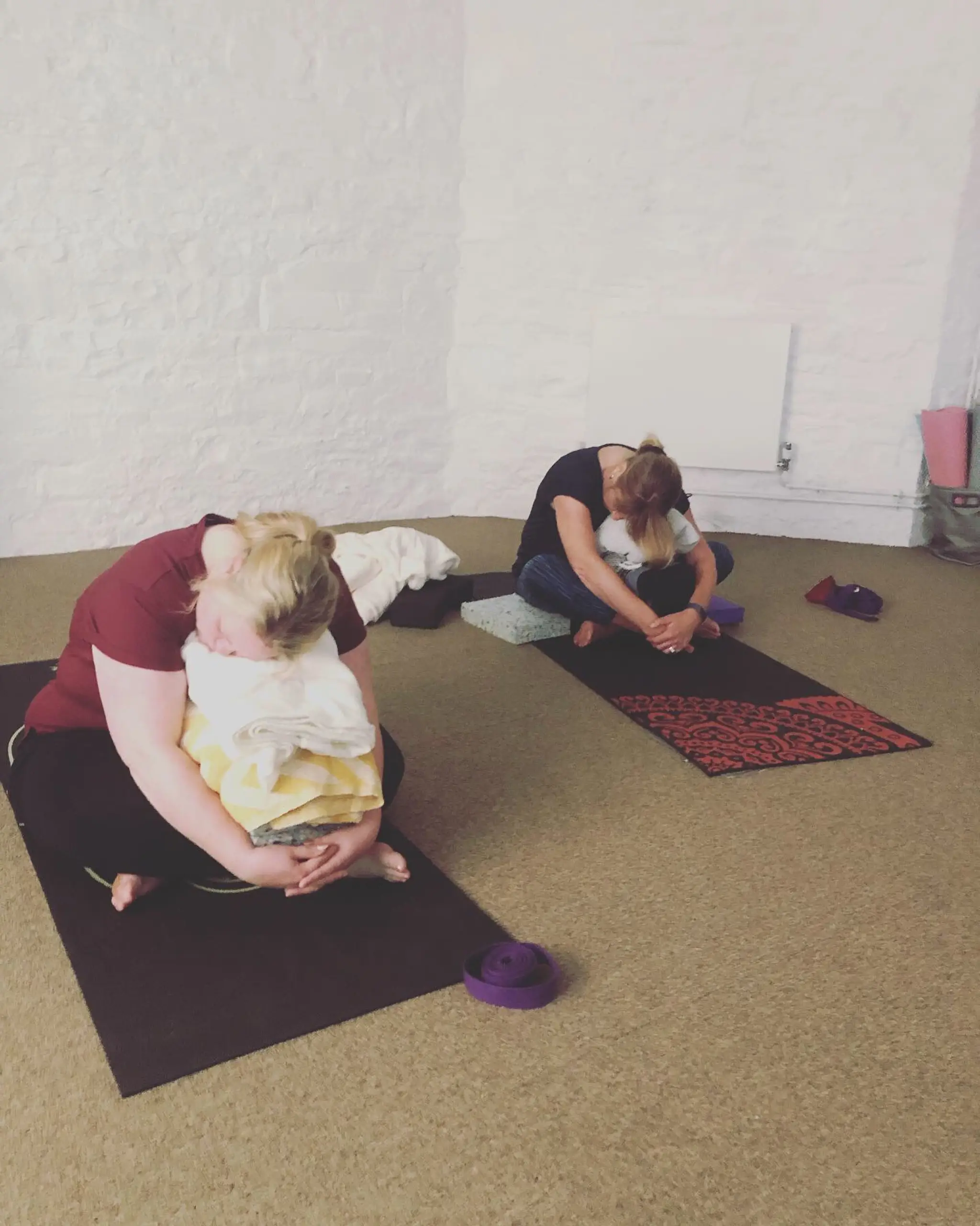 Yoga with Meeko