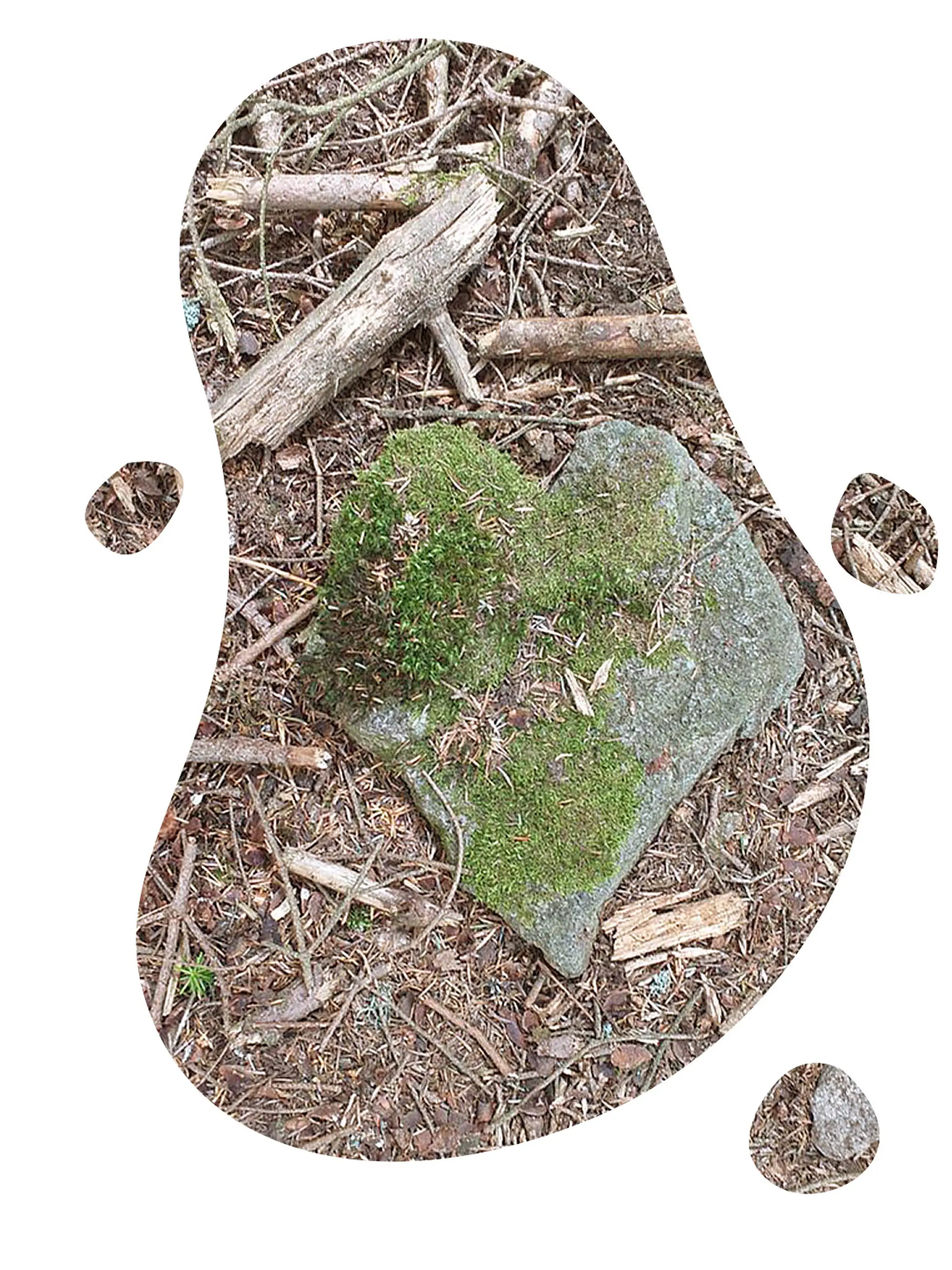 Yoga Nomad