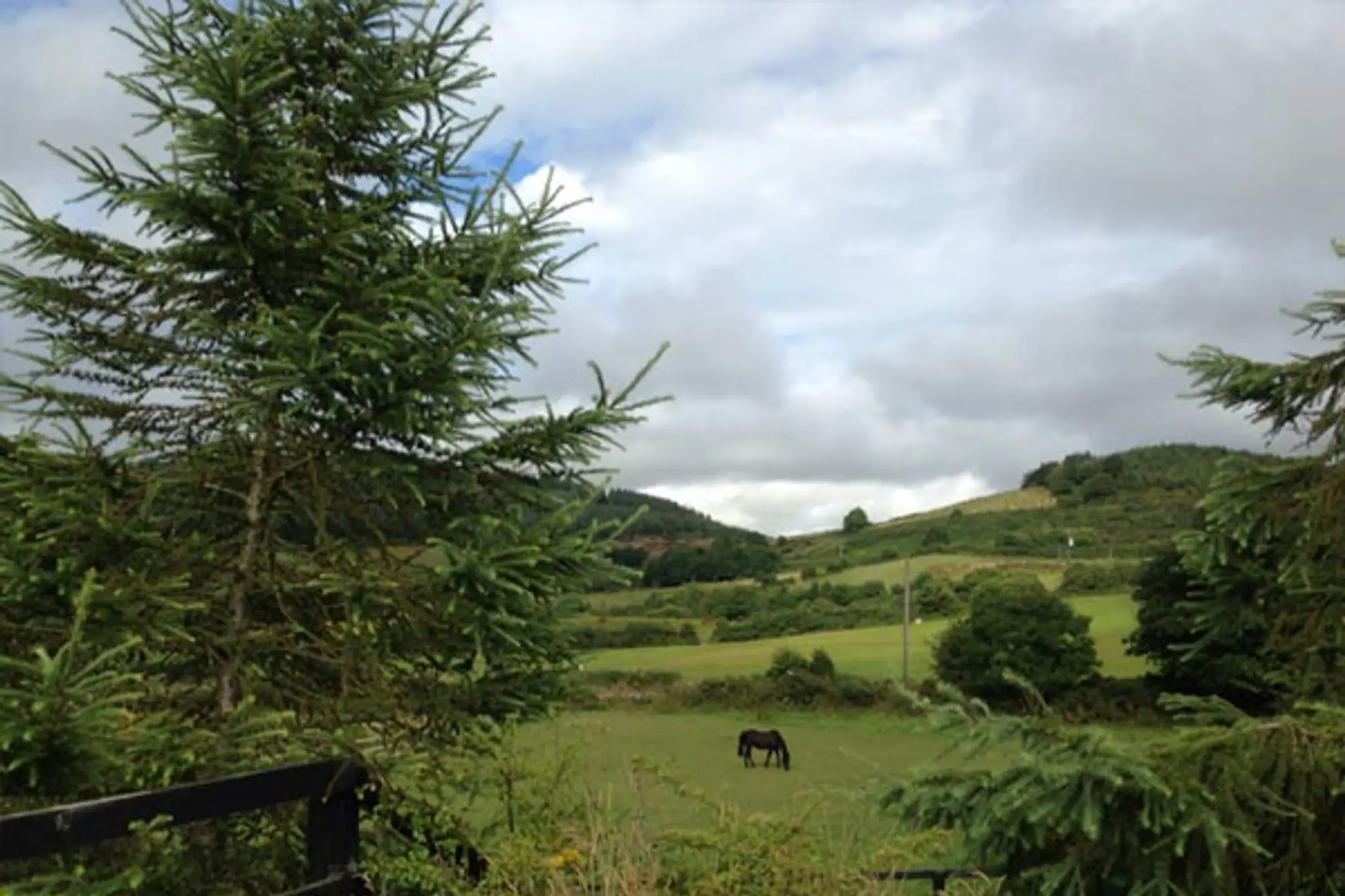 Oakwood Stables