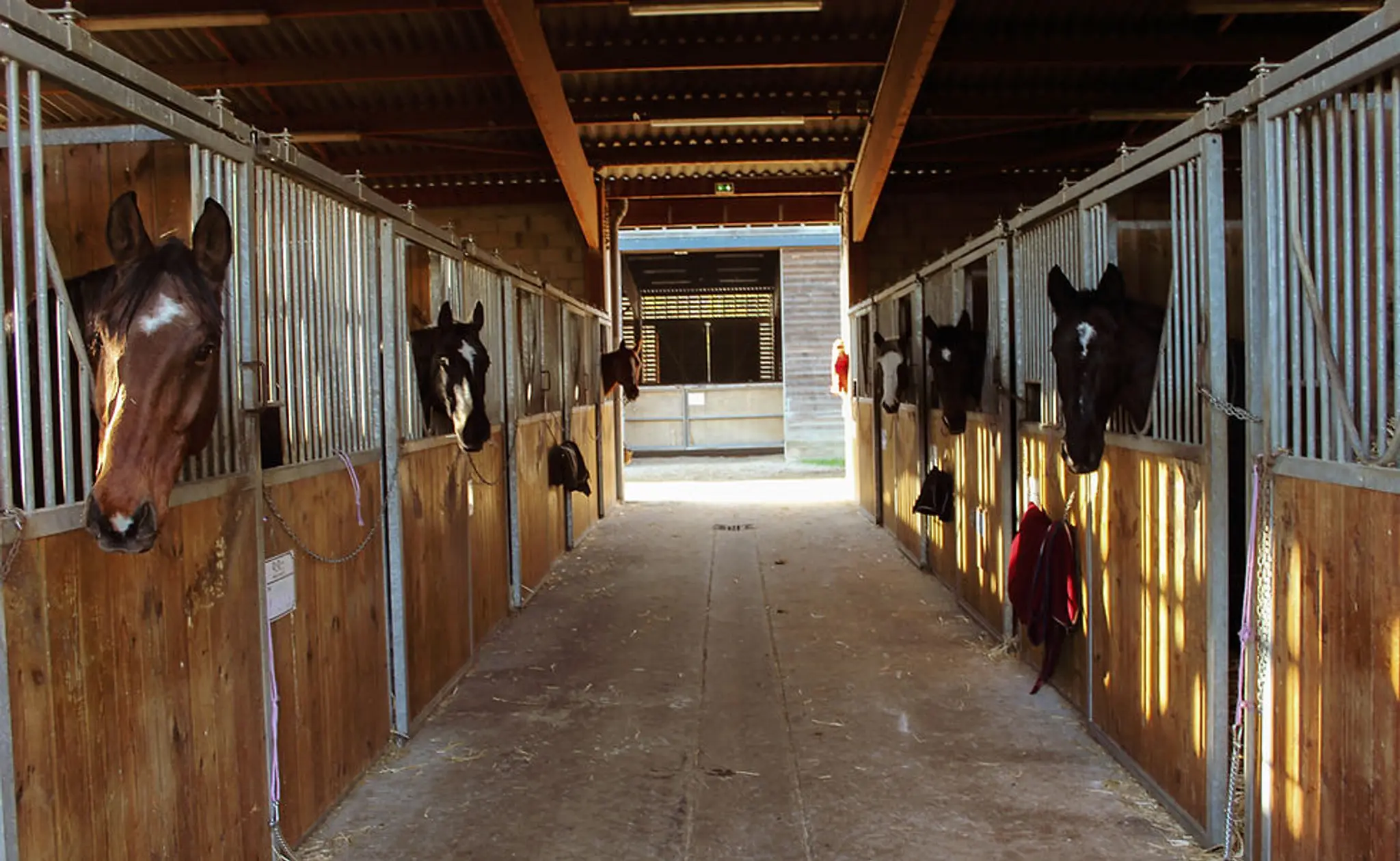 Les Écuries De Bois D'arcy