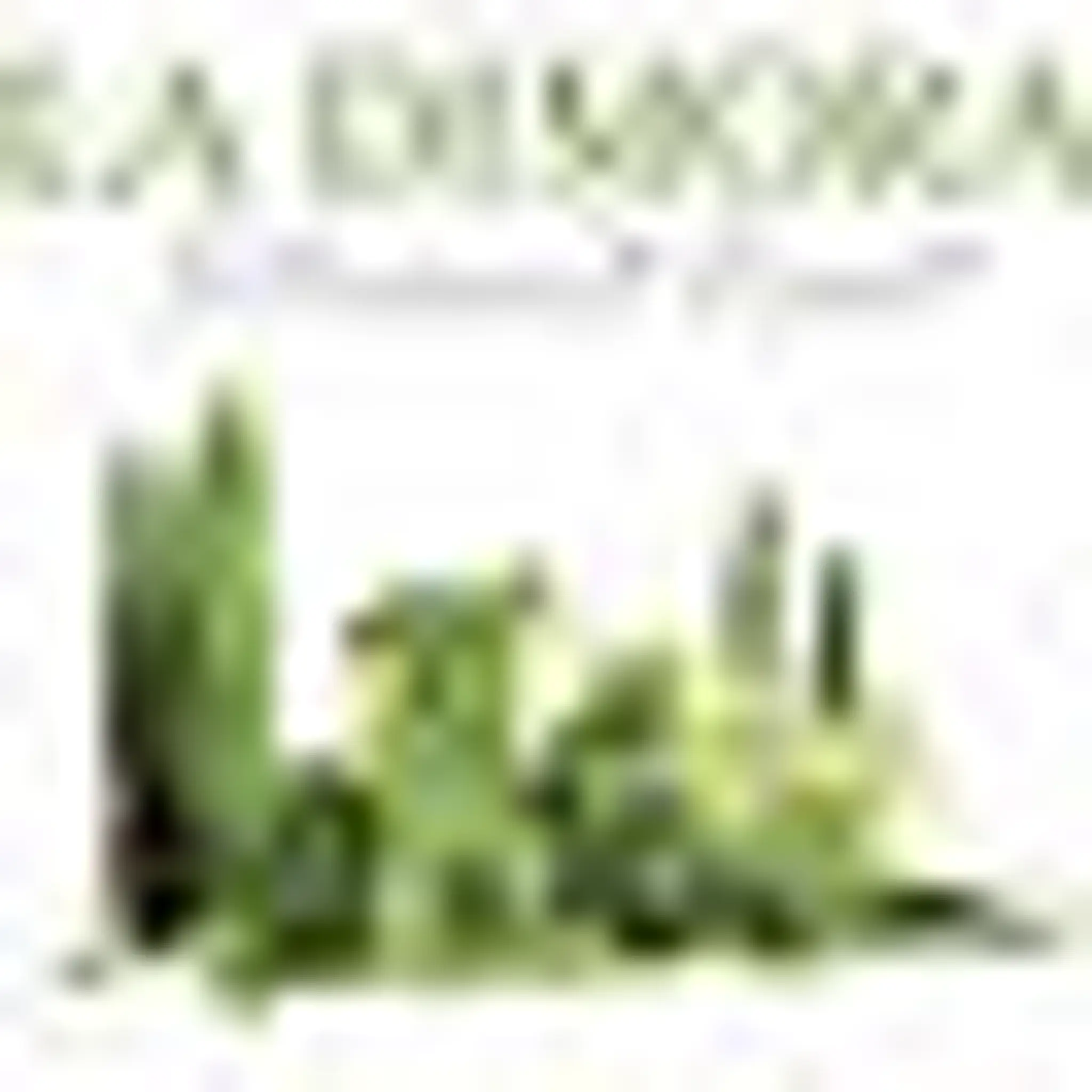 La Dimora Retirement Resort at Hidden Valley