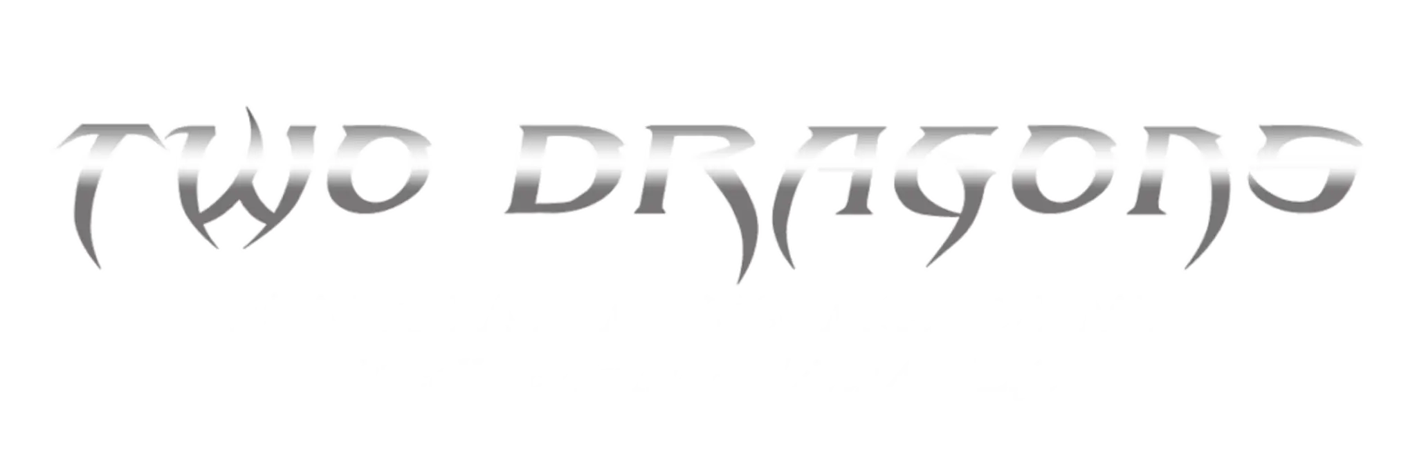 Two Dragons Martial Arts Academy