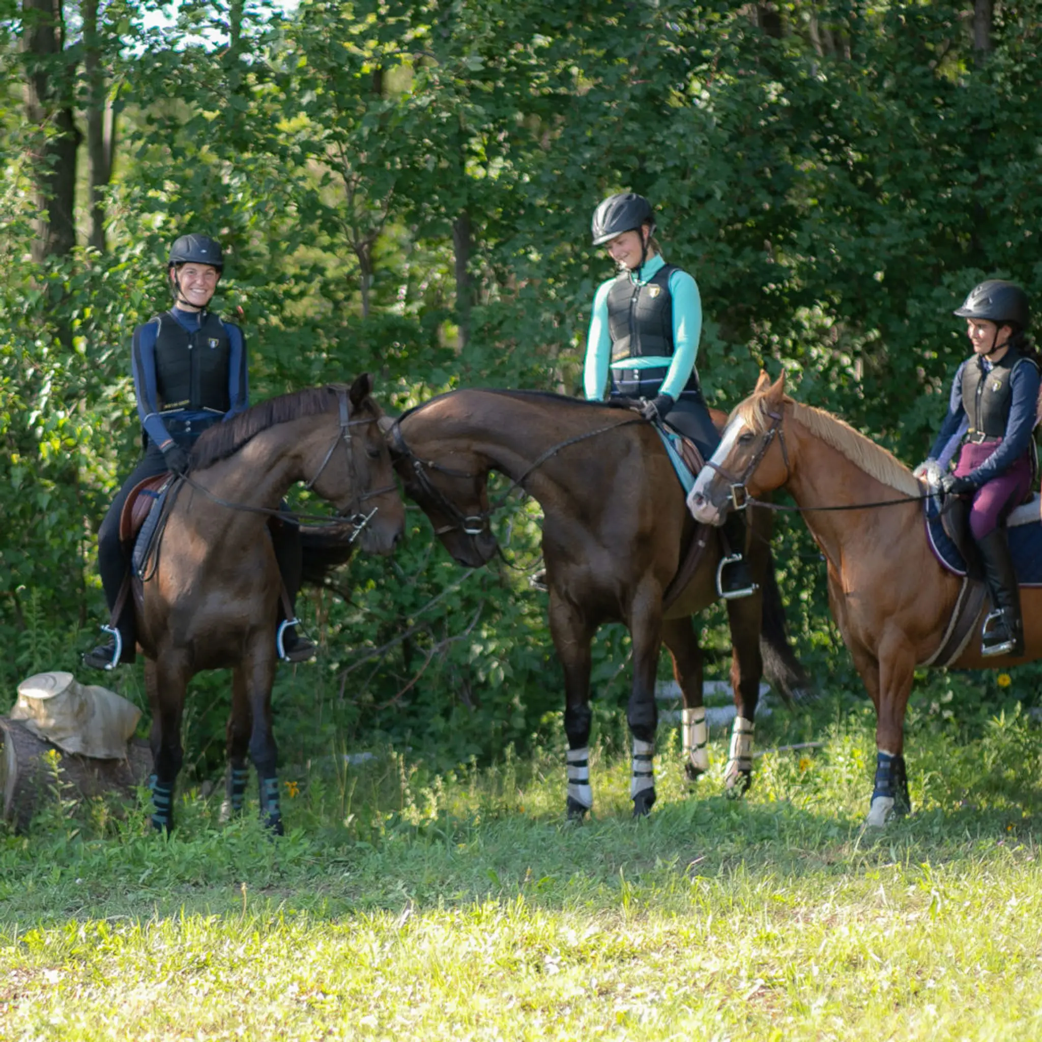 Equestrian Center Mac