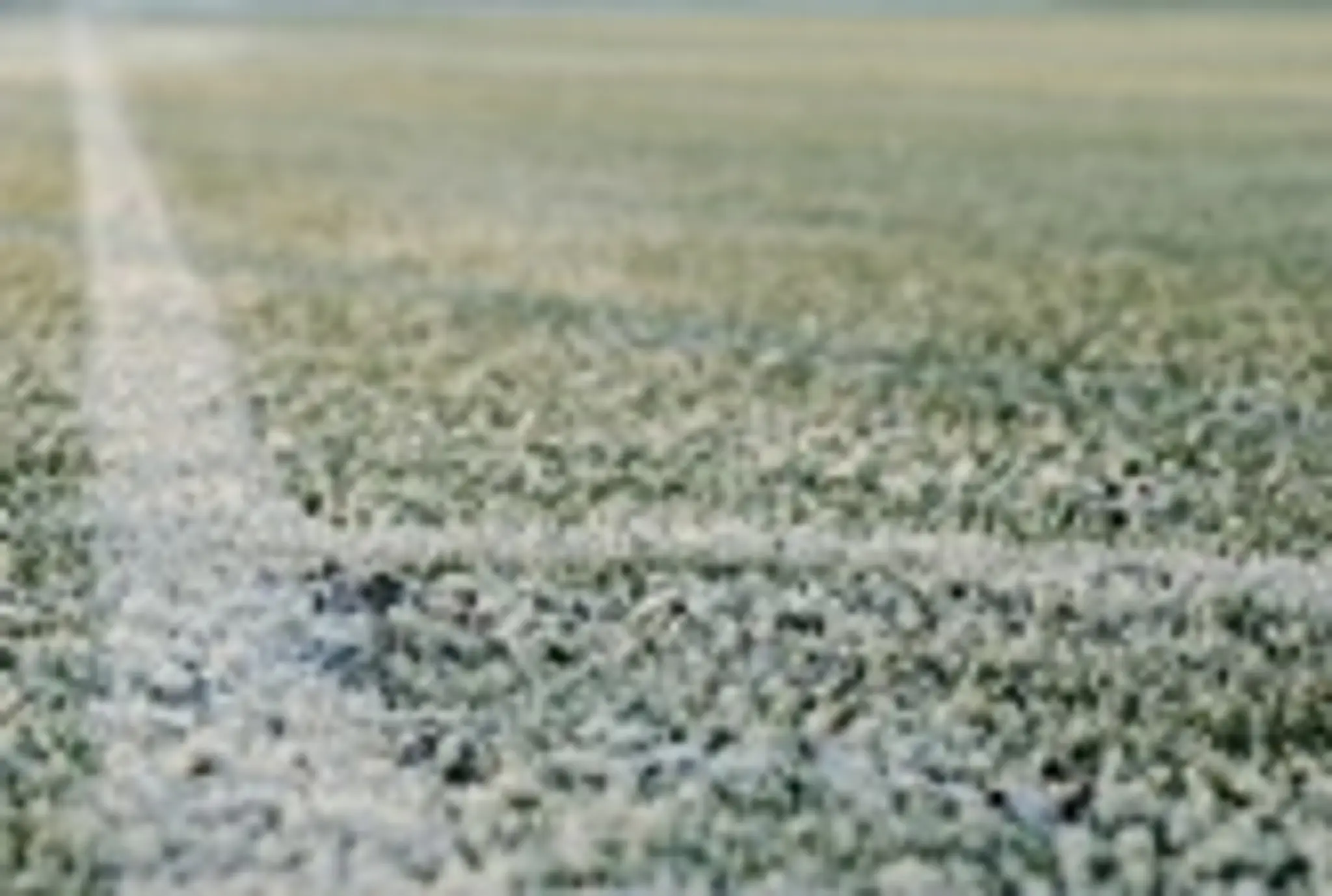 Royston Town Football Club