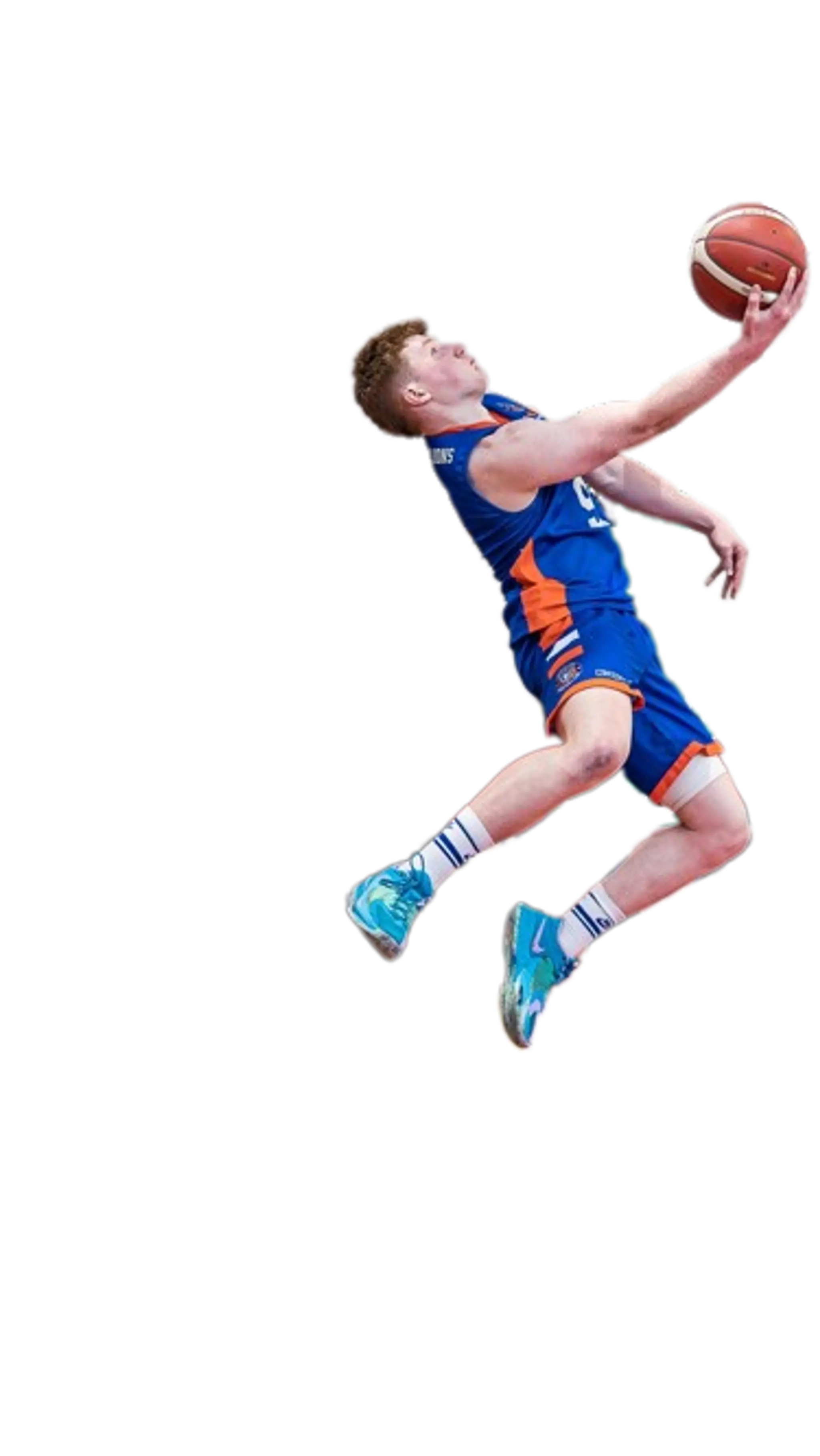 Limerick Lions Basketball Club