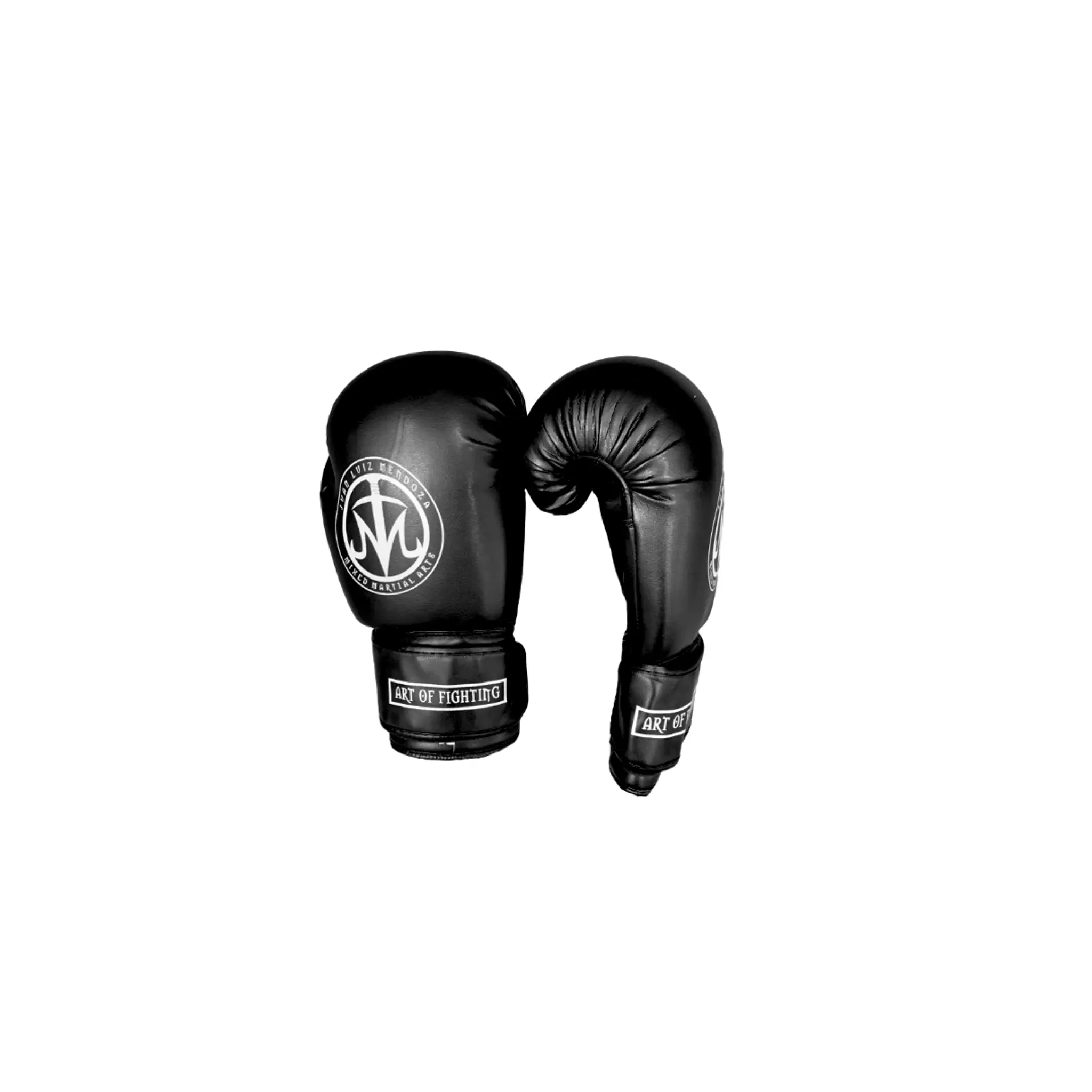 Art Of Fighting Academy