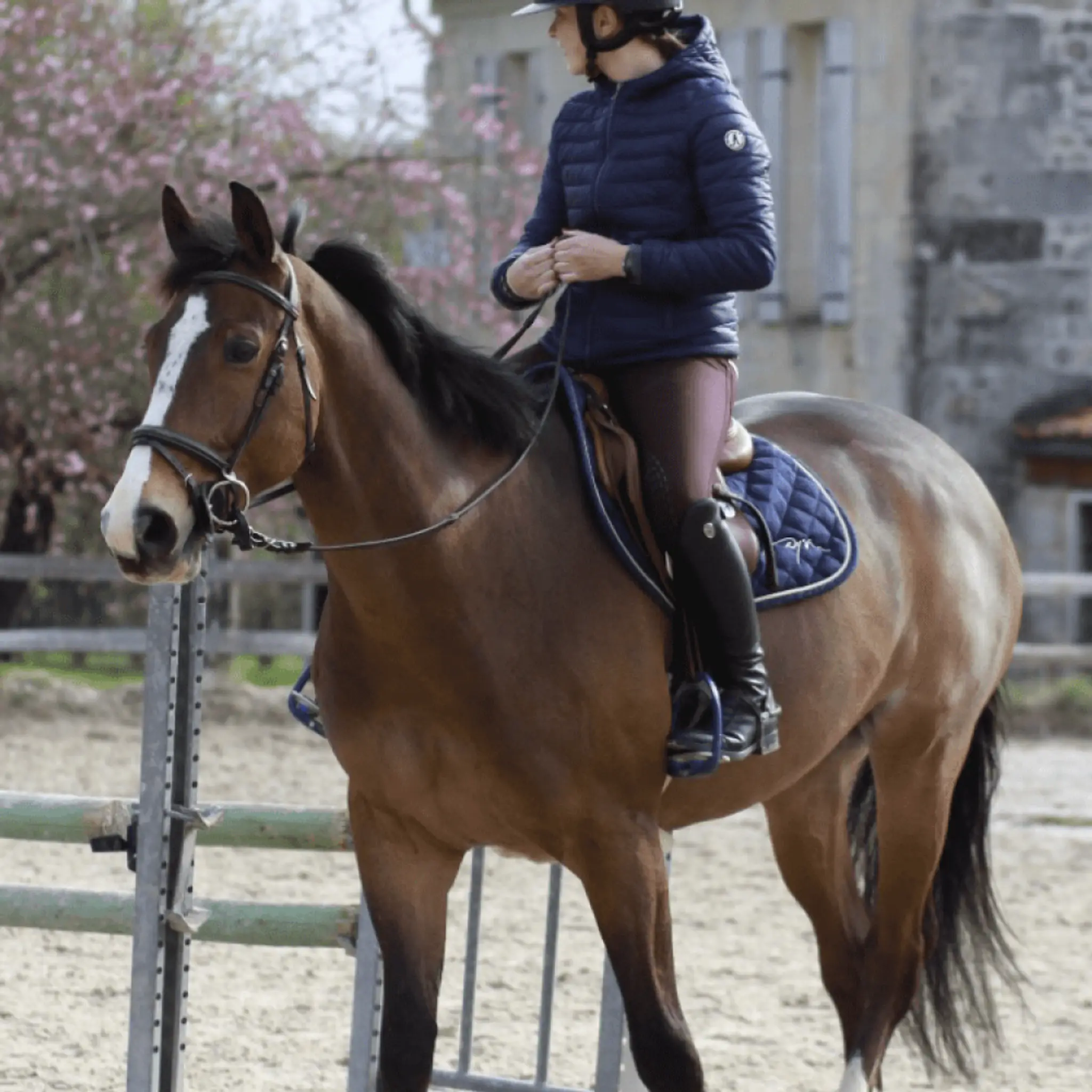 CENTRE EQUESTRE LES ALLARDS