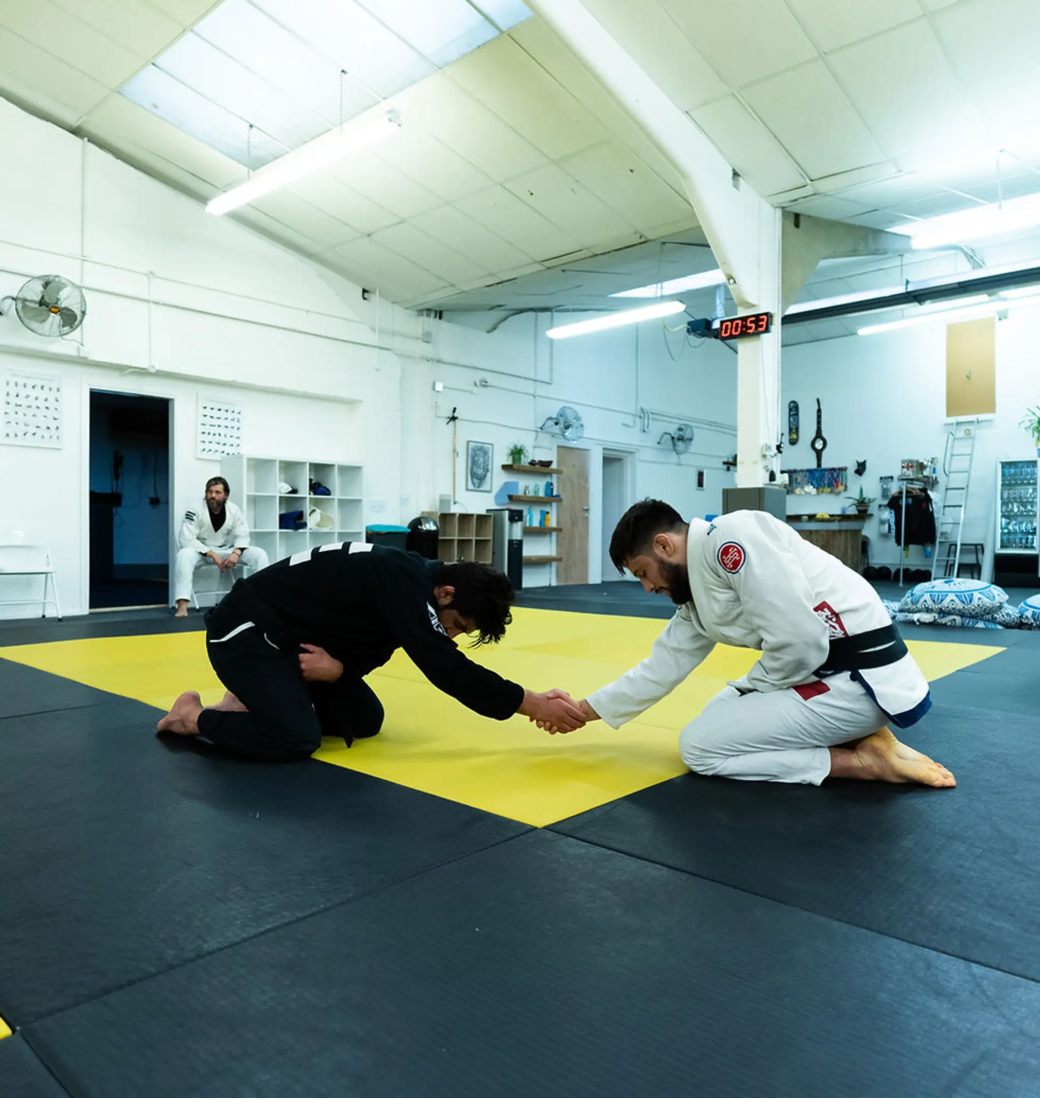 Elements Brazilian Jiu Jitsu
