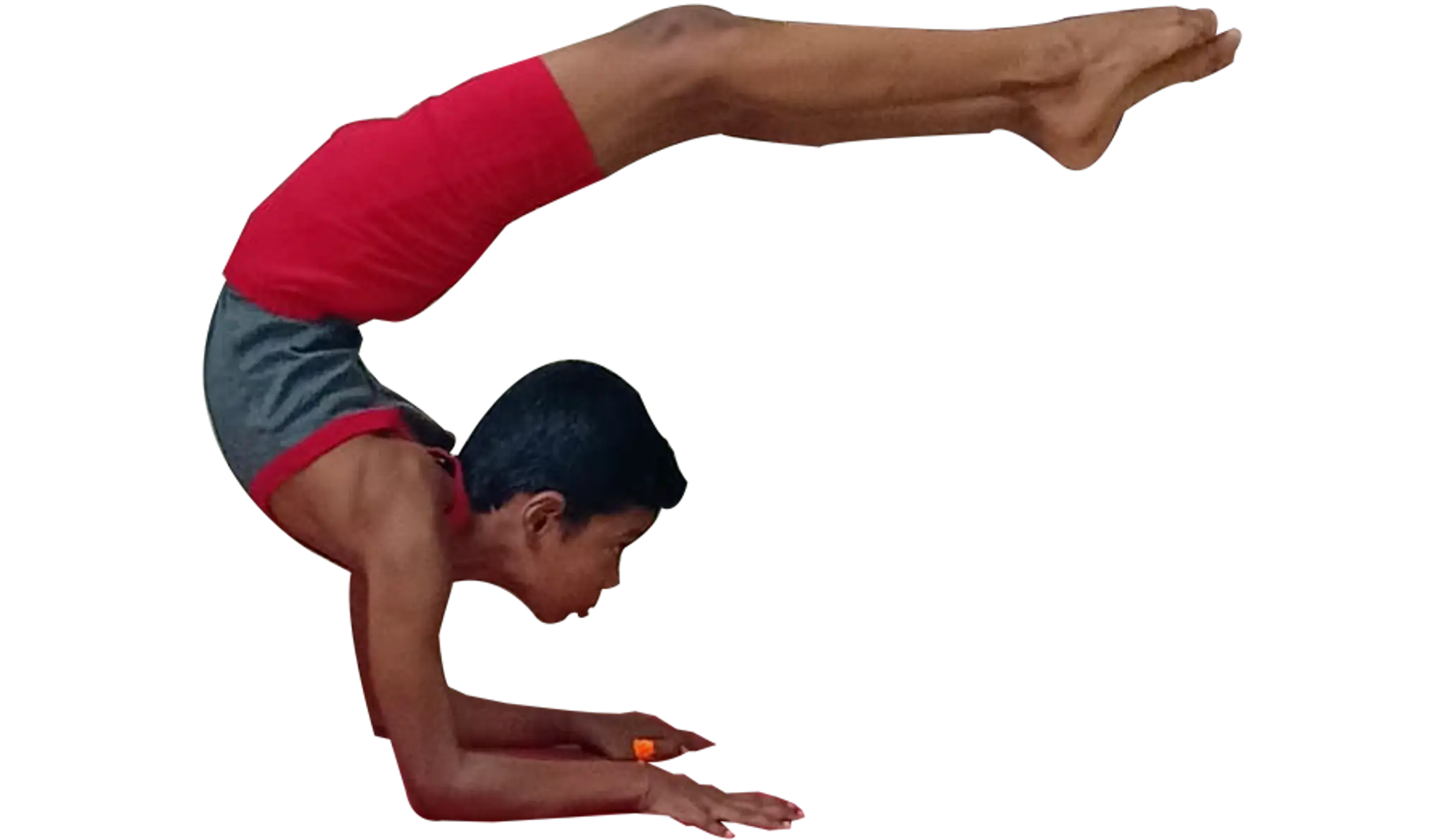 Sanathana Yoga Center - Yoga Center Calicut