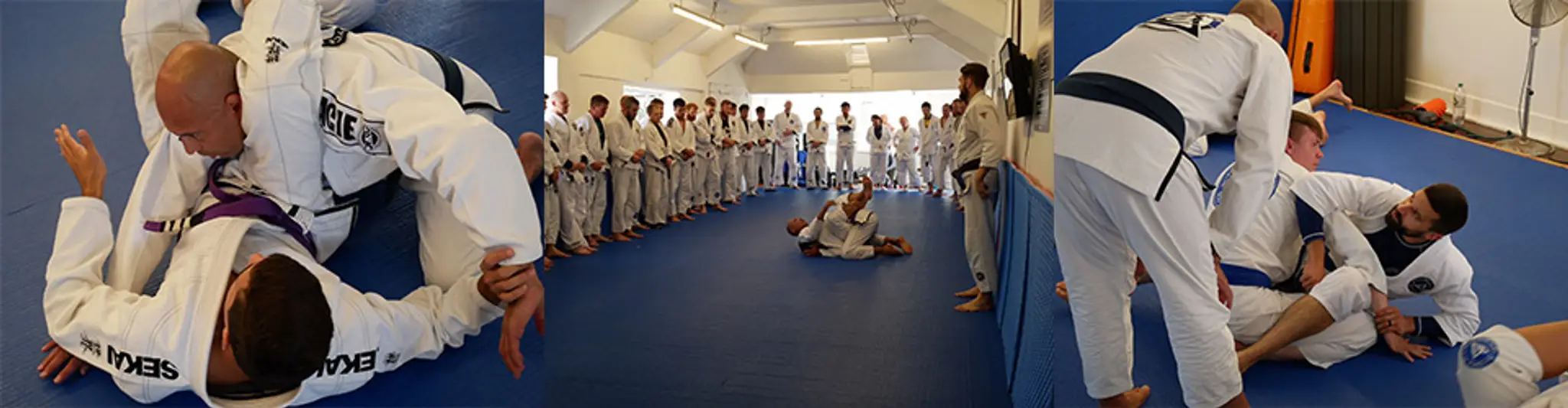 Macmillan Martial Arts Academy