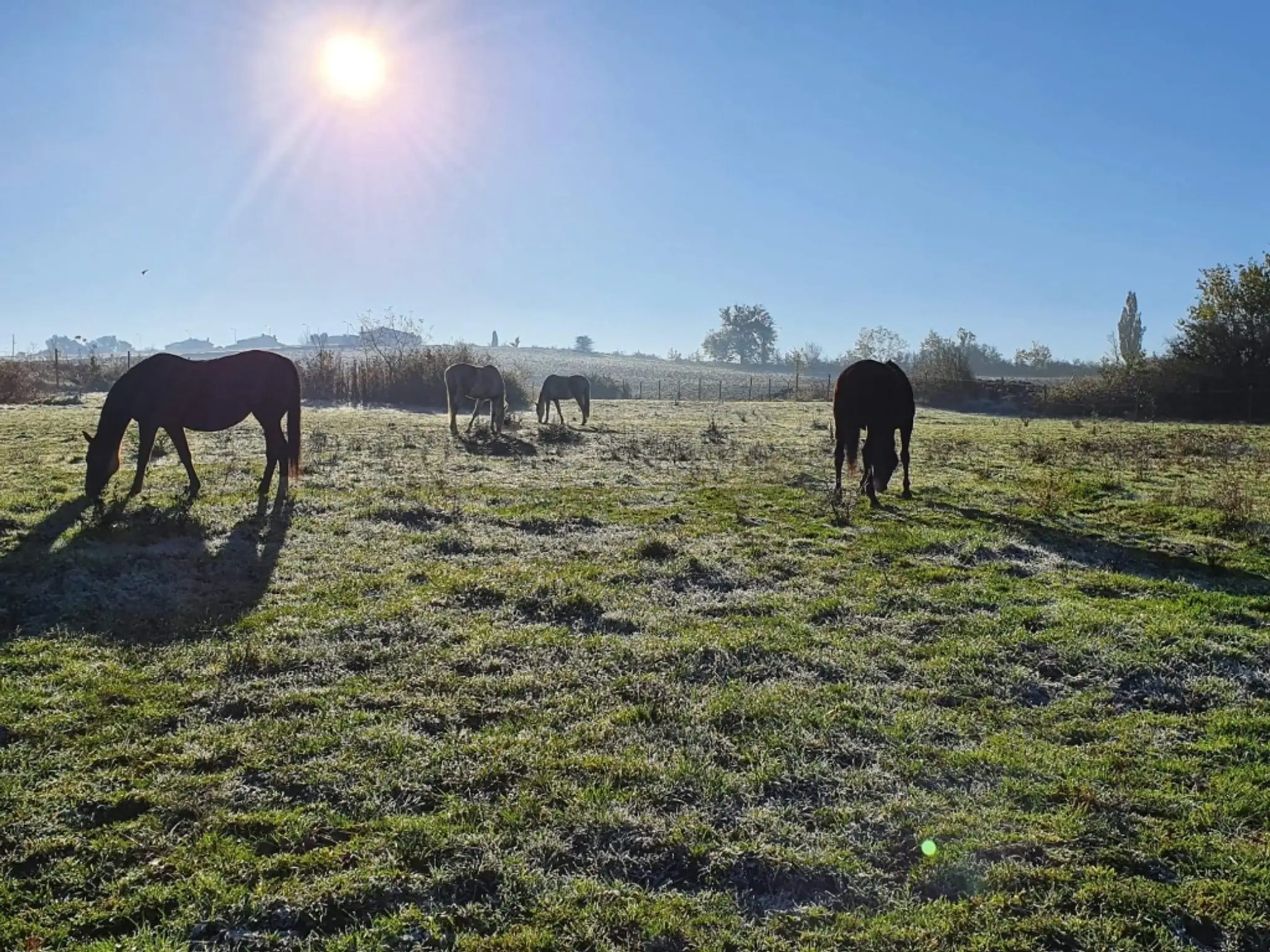 Stables Du Bois Portier
