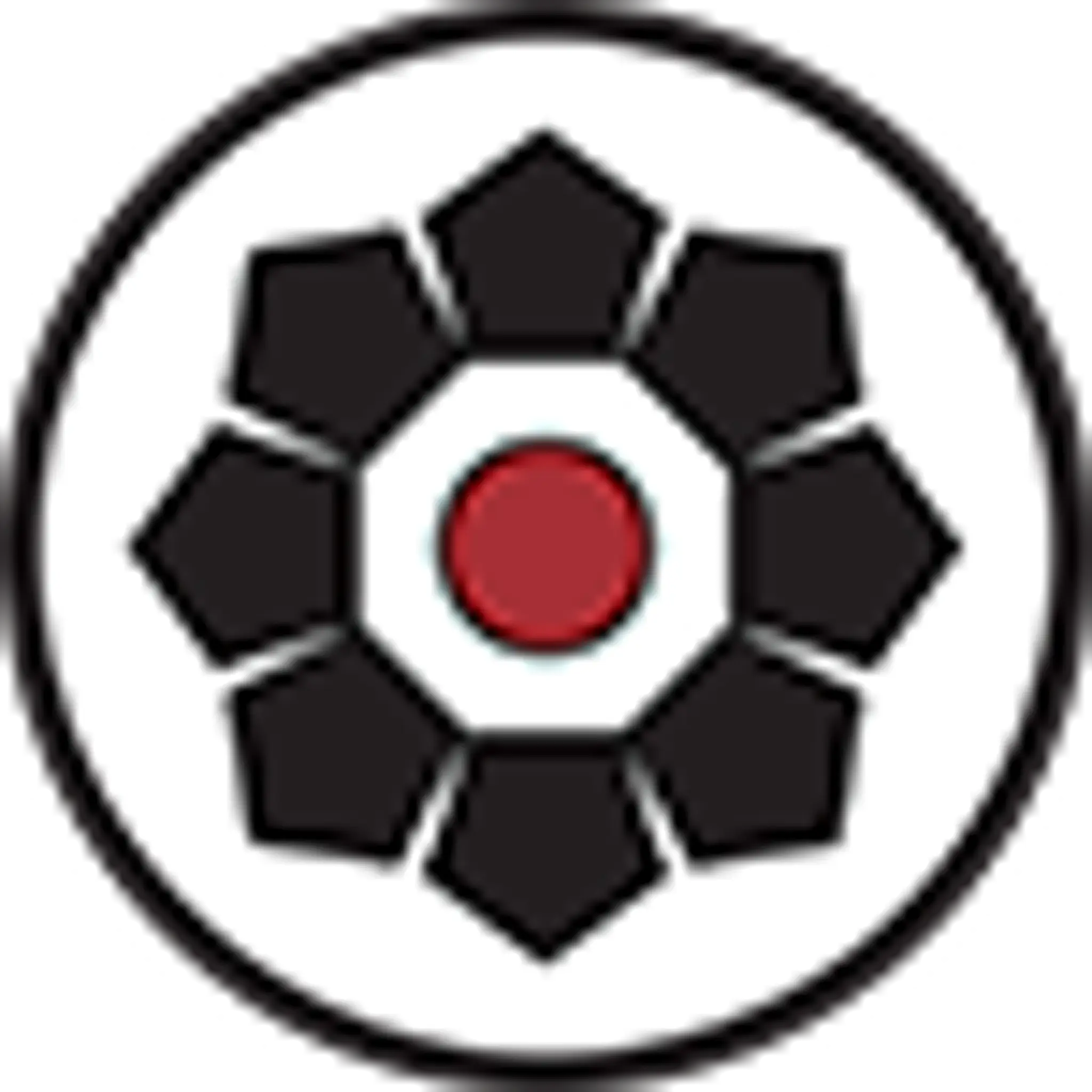 Hiro's Judo Club