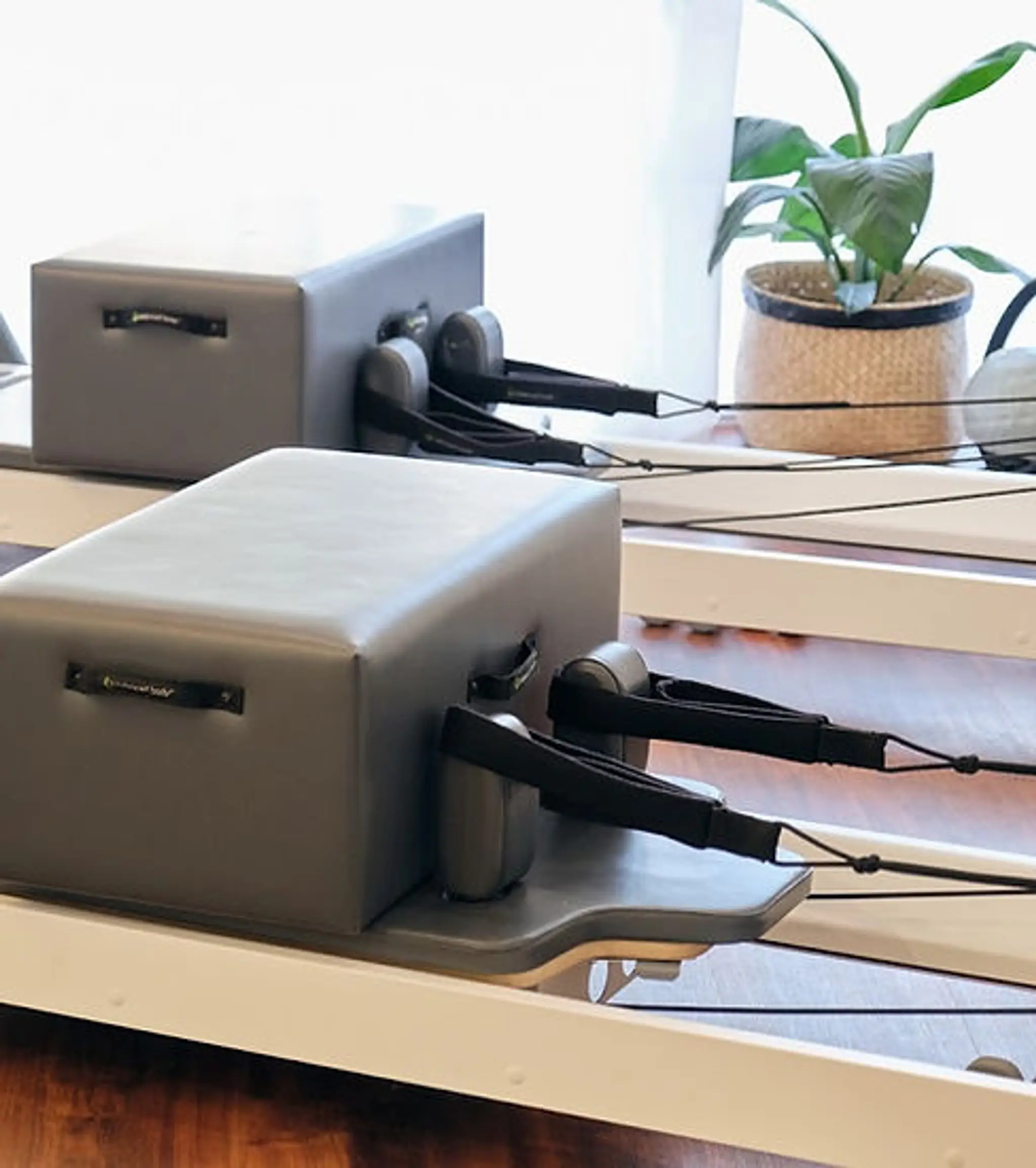 Flow Well Studio Gordon