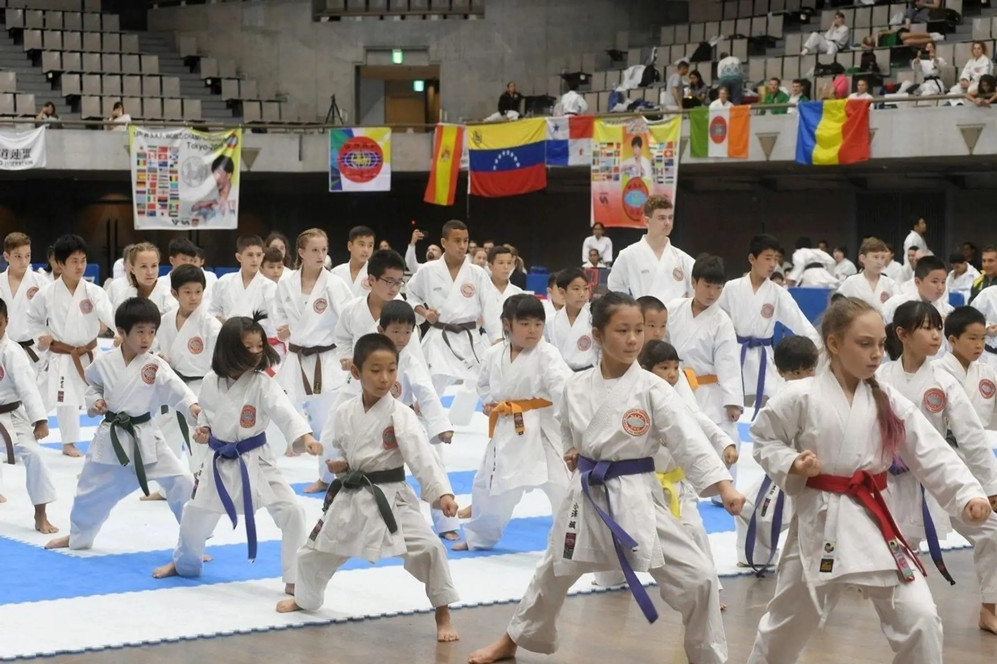 Jindokai Karate-Do - Playford