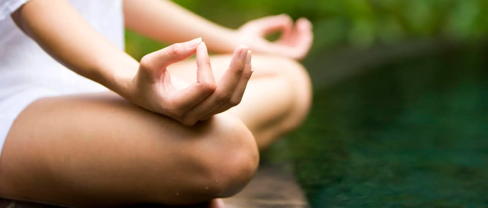 Soul Tree Yoga Studio