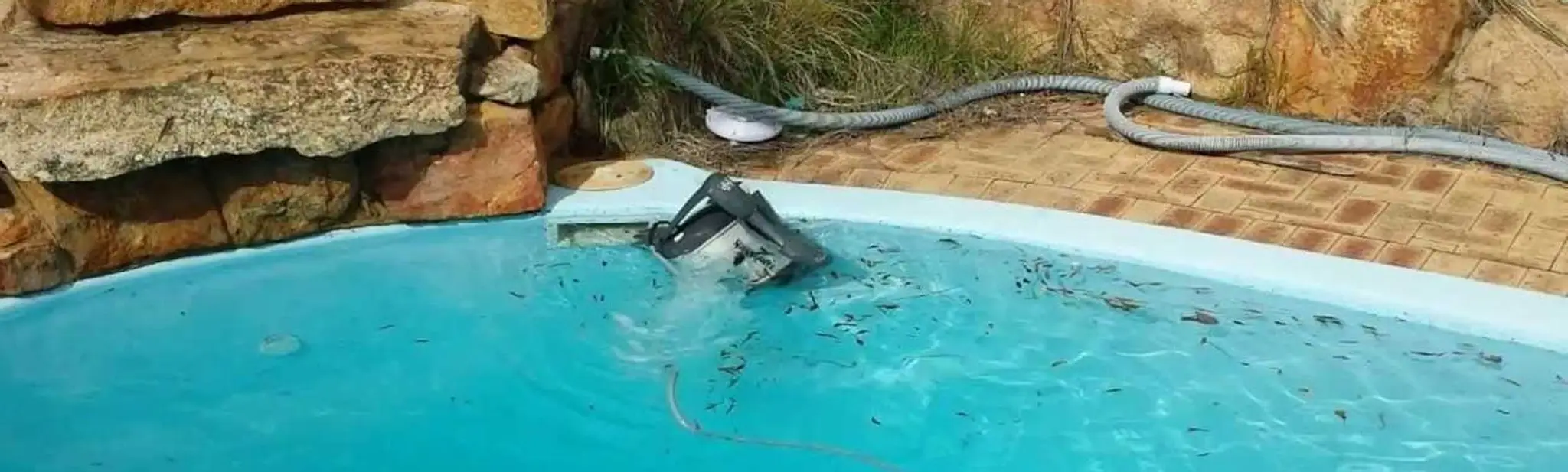 Dave's Perfect Pool Services (Cairns)