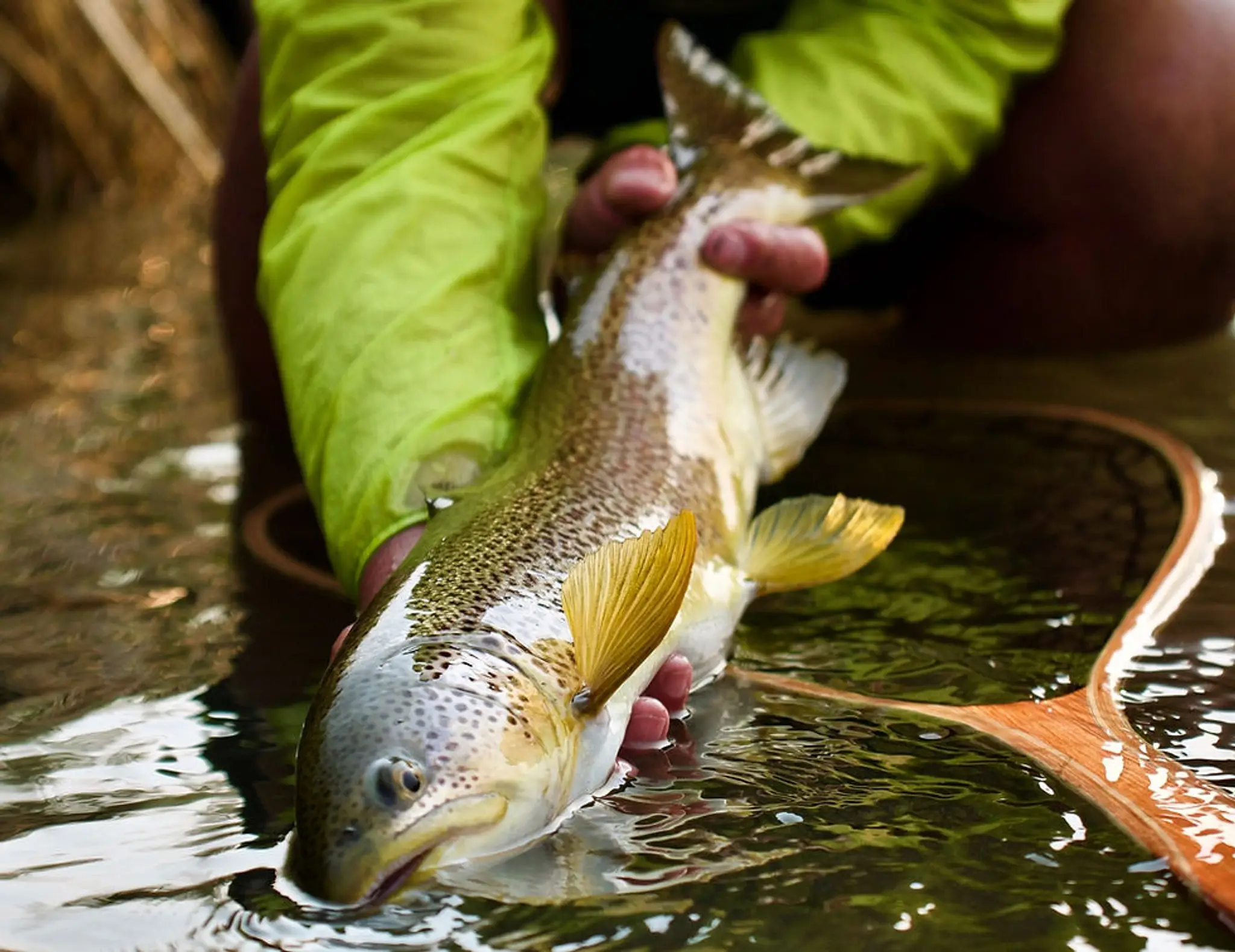 Trout Chasers River Company Ltd.