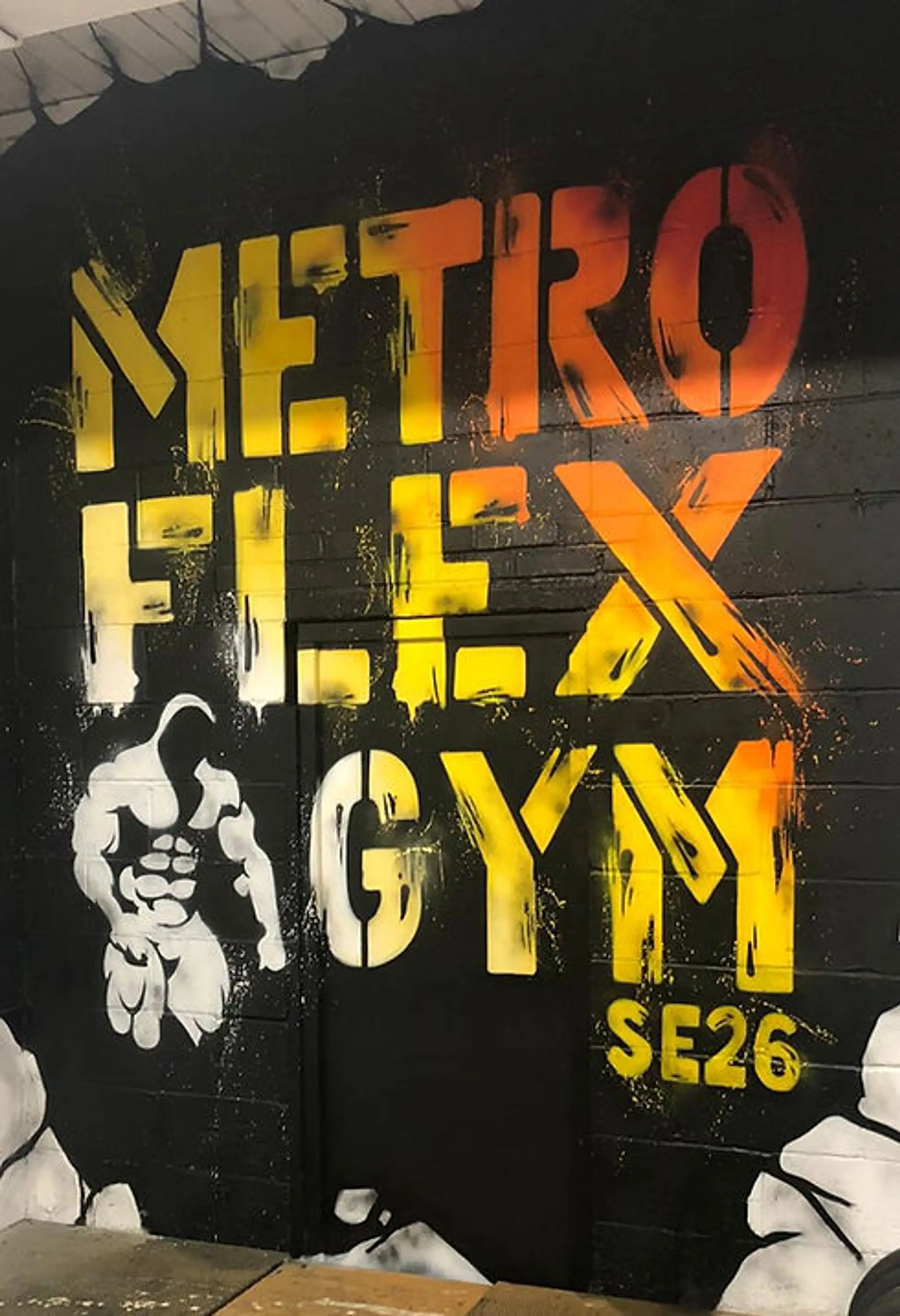 Metro Flex Gym London