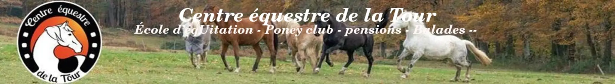 CENTRE EQUESTRE DE LA TOUR