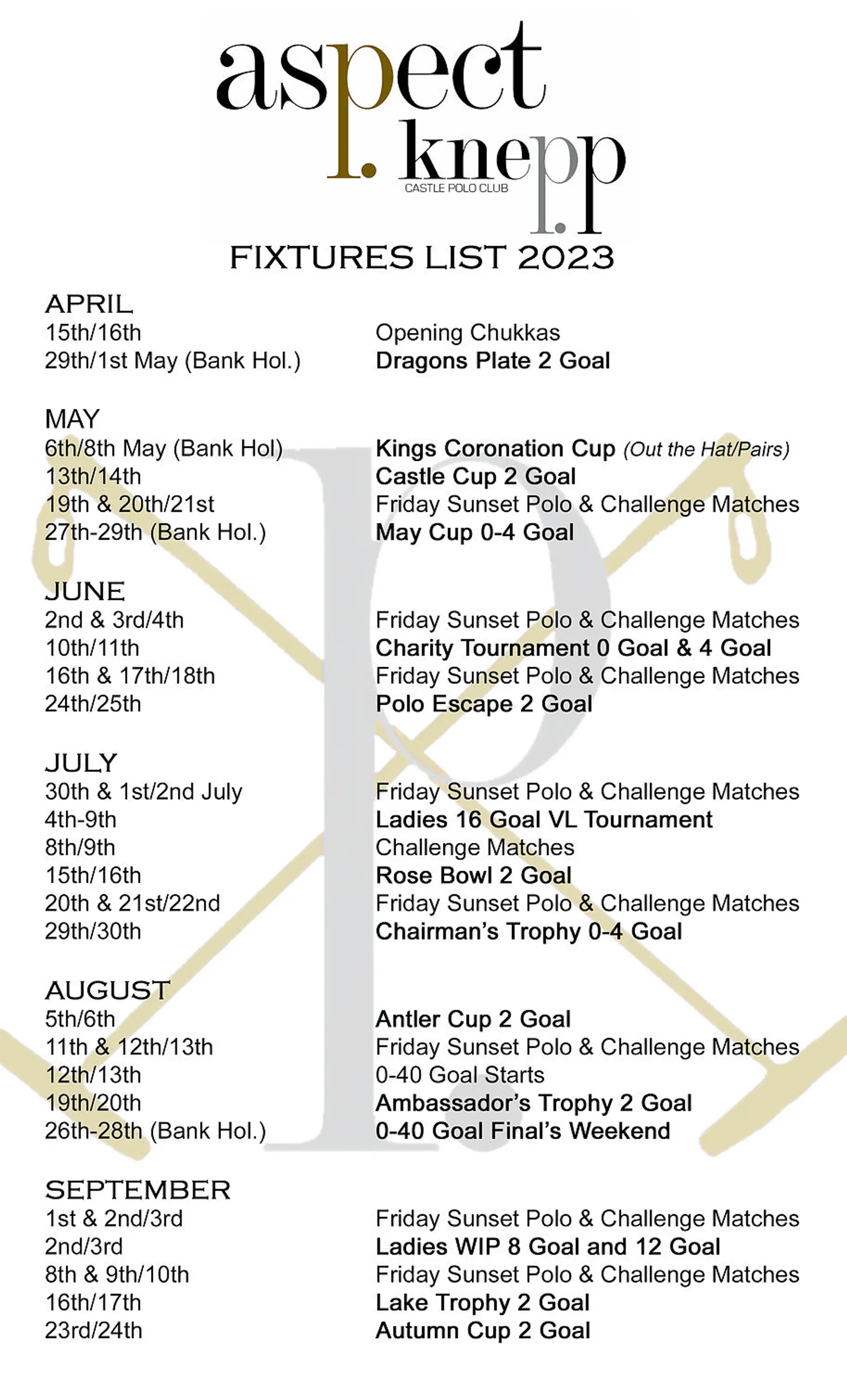 Aspect Knepp Castle Polo Club