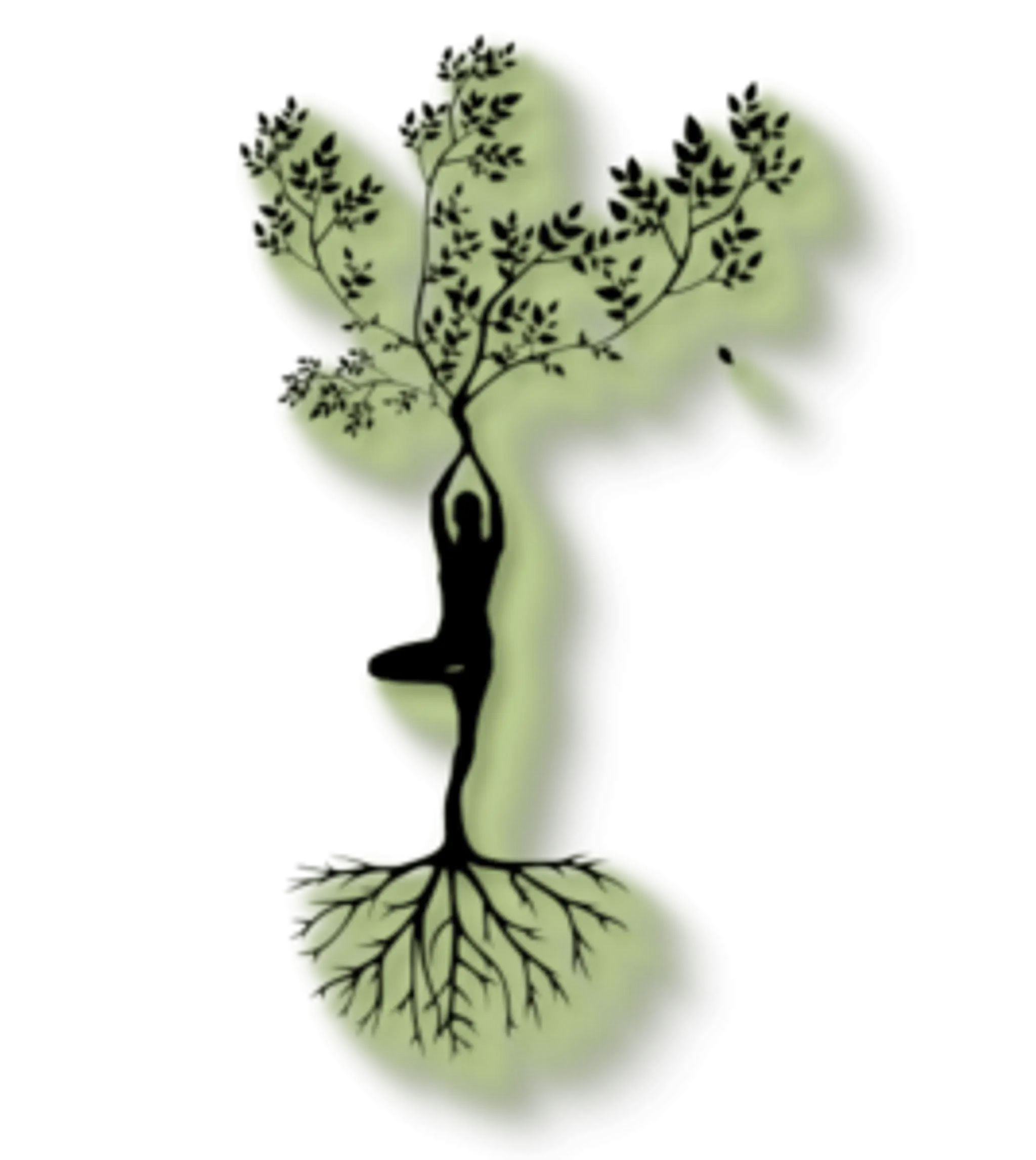 Falkirk Yoga with Rob