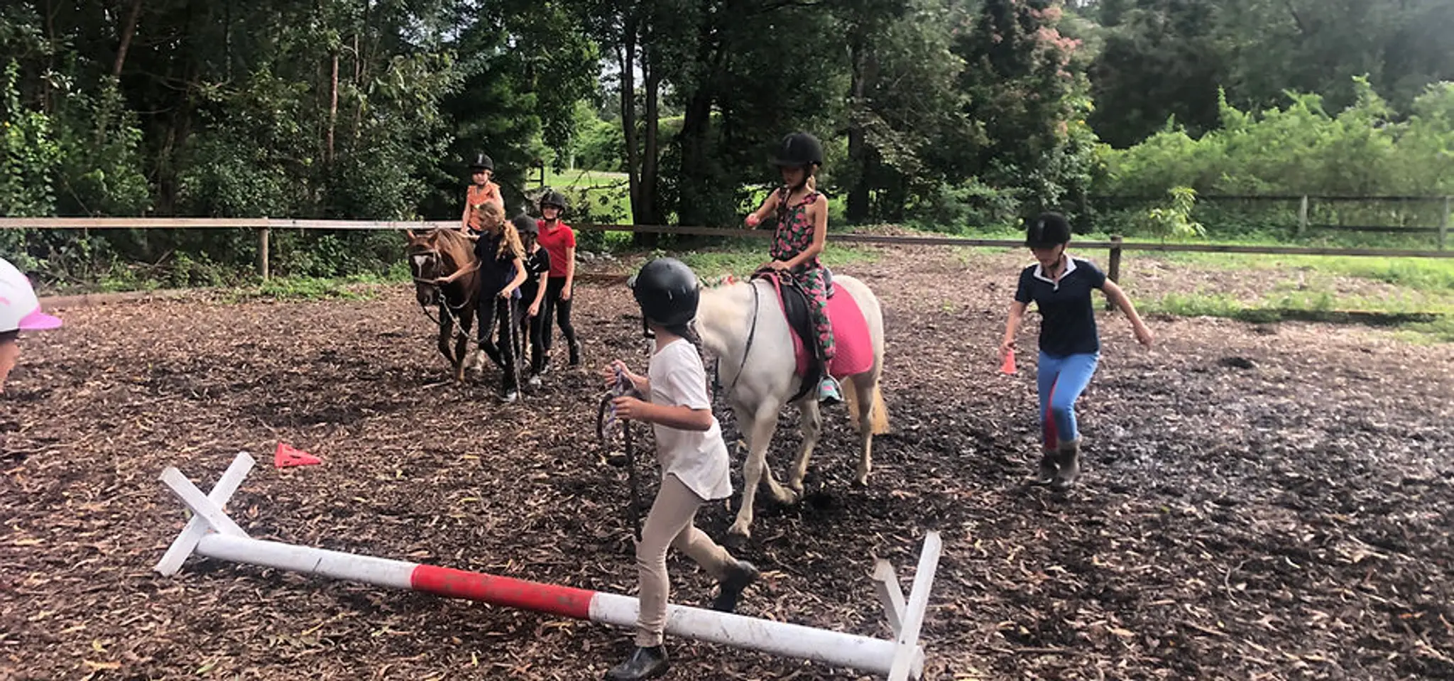 Unicorn Tea Parties, party ponies and children's riding Gold Coast