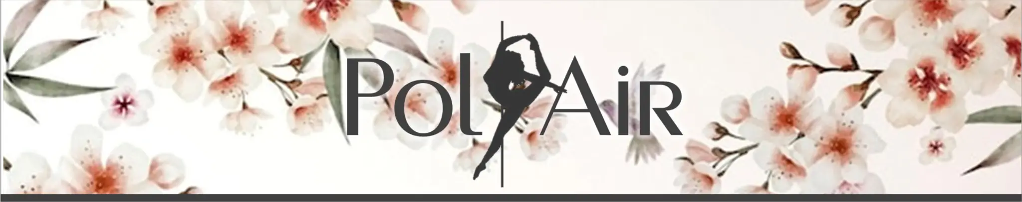 PolAir - Ecole de Pole Dance