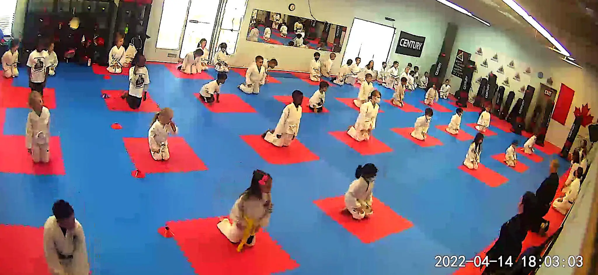 Street Smart Defensive Arts Inc.