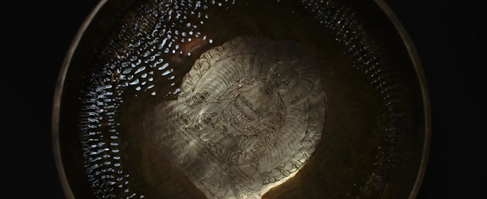 Jaya Jaya Yoga Du Son & Kundalini