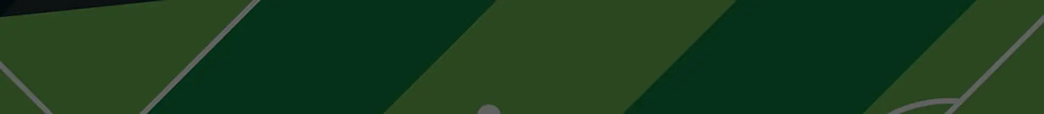 Wildcatz Indoor Sports Arenas