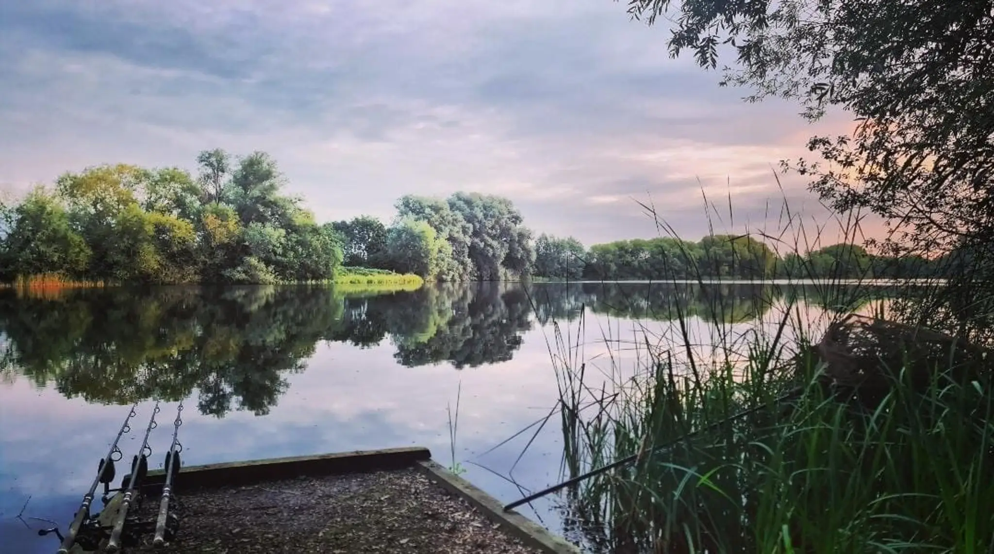 Wellingborough Fishing Lakes